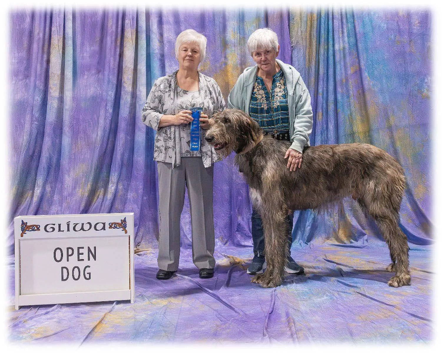   Open Dog      1. Wolfhouse Faure . 03/04/2019. Breeder: Pernille Monberg. By Orin of Nutstown x Wolfhouse Acapella. Owner: Kathy Welling 