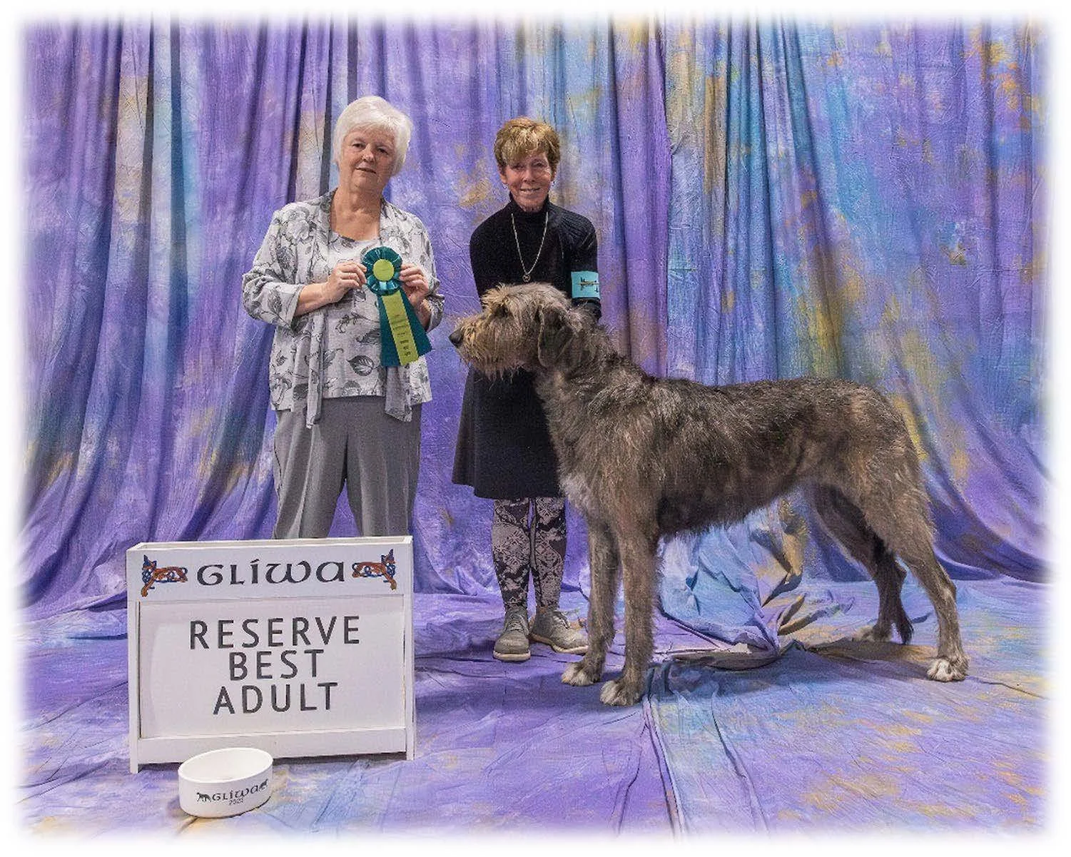   Reserve Best Adult     Dry Creek Pastiche . 02/01/2021. Breeder: Angela Hunter Knight. By GCH CH Niobrara Eoghan Roe x BISS GCH CH Caraglen Berwyck Libaan at Dry Creek. Owner: Angela Hunter Knight &amp; Helen Philpott. 