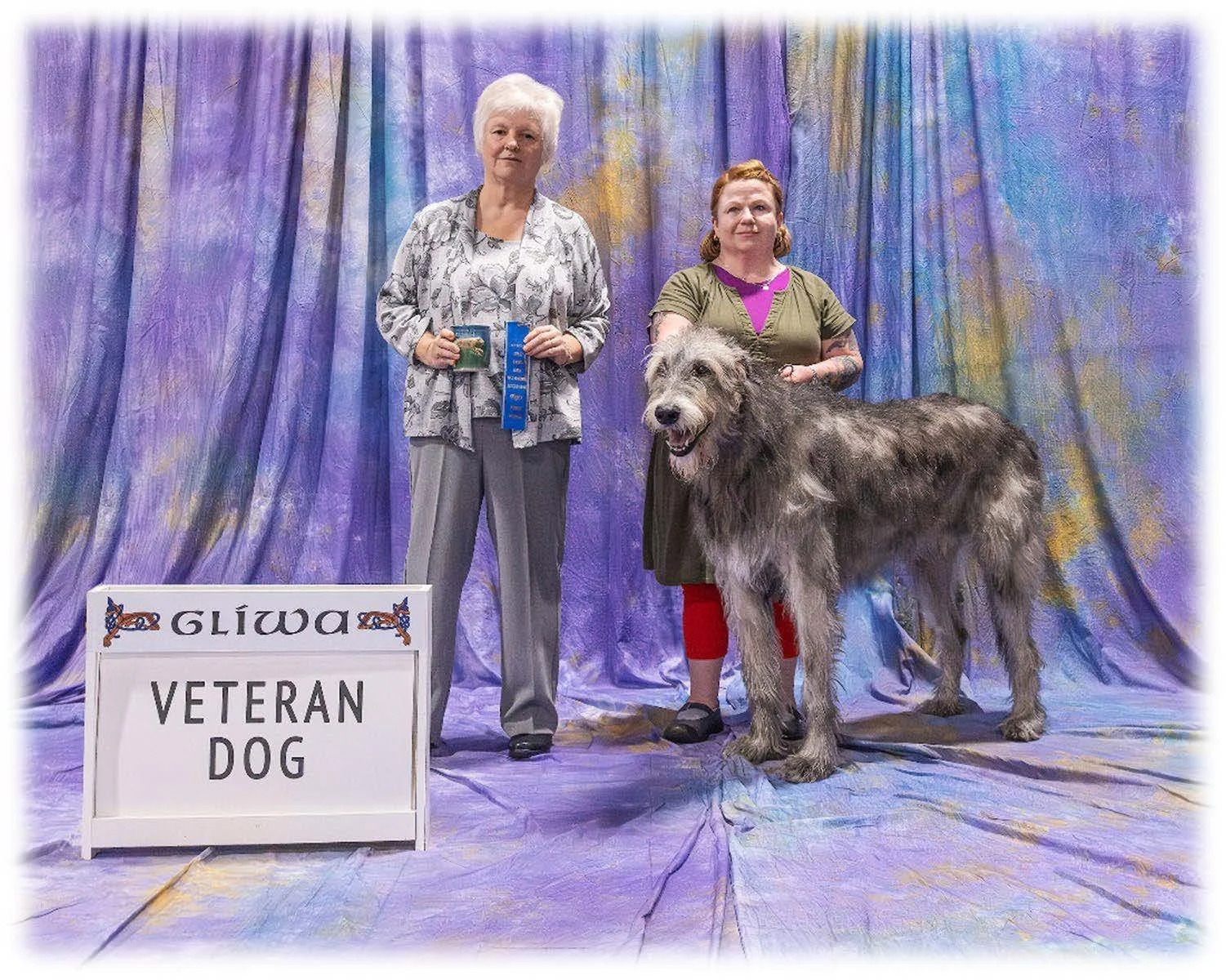   Veteran Dog     1. CH Howlin’s Hi-Ho Lounge on St. Claude CD BN RAE OJP SWN SCA SBE SEA DCAT GRC CGCA TKN VCX.  04/11/2017. Breeder: David Berzins &amp; Risha Cupit-Berzins. By Eirian Padraic Brie Quick Draw Marco x CH Howlin's Praline BN RA NAP MJ
