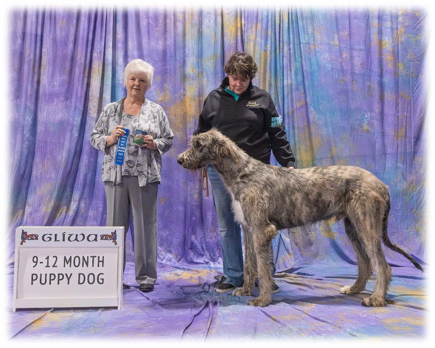   Reserve Best Puppy     Wyvern’s Toast to Odin . 12/21/2022. Breeder: Melanie Mercer DVM. By Pinehurst Hendrix x Caraglen Wyvern Sprezzatura. Owner: Greg Mercer &amp; Melanie Mercer DVM.  
