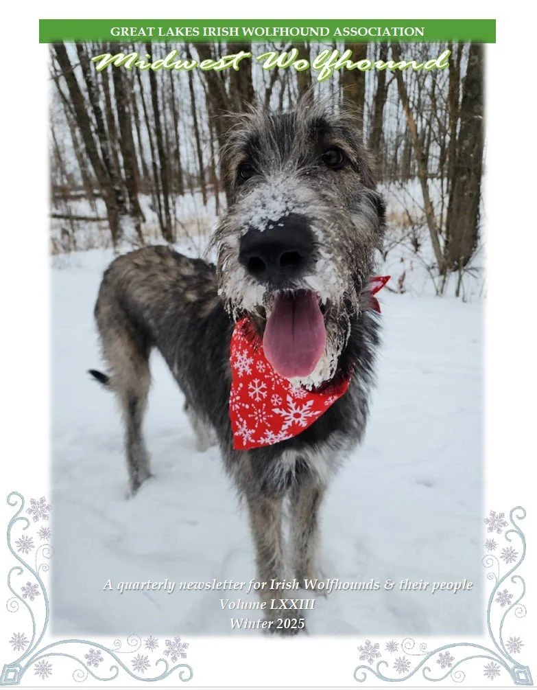 Midwest Wolfhound_2025 Winter