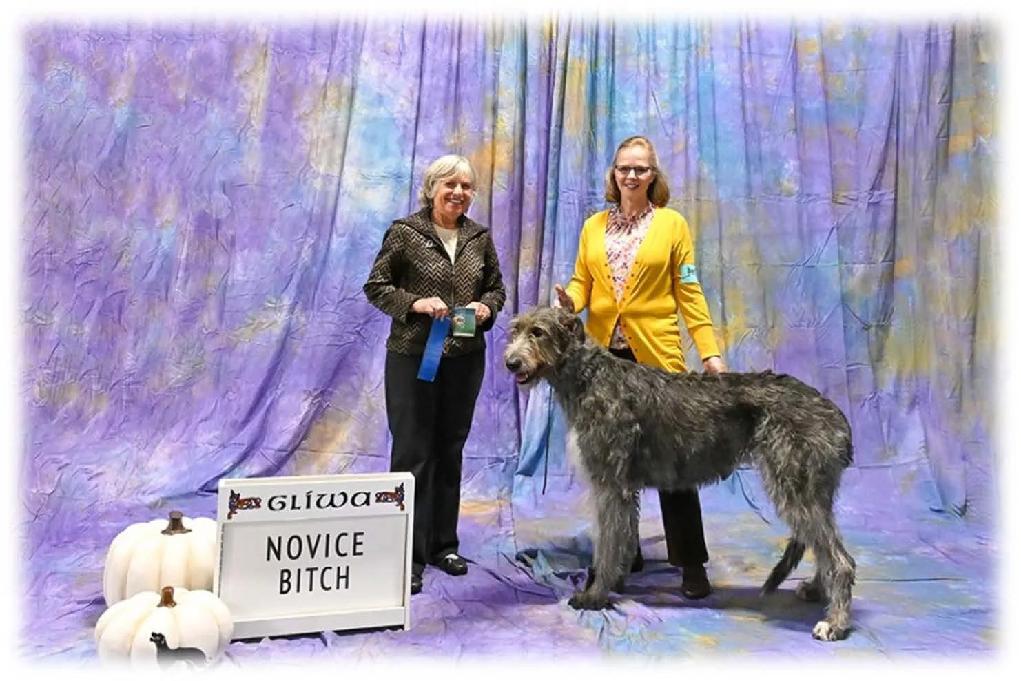 Novice Bitch