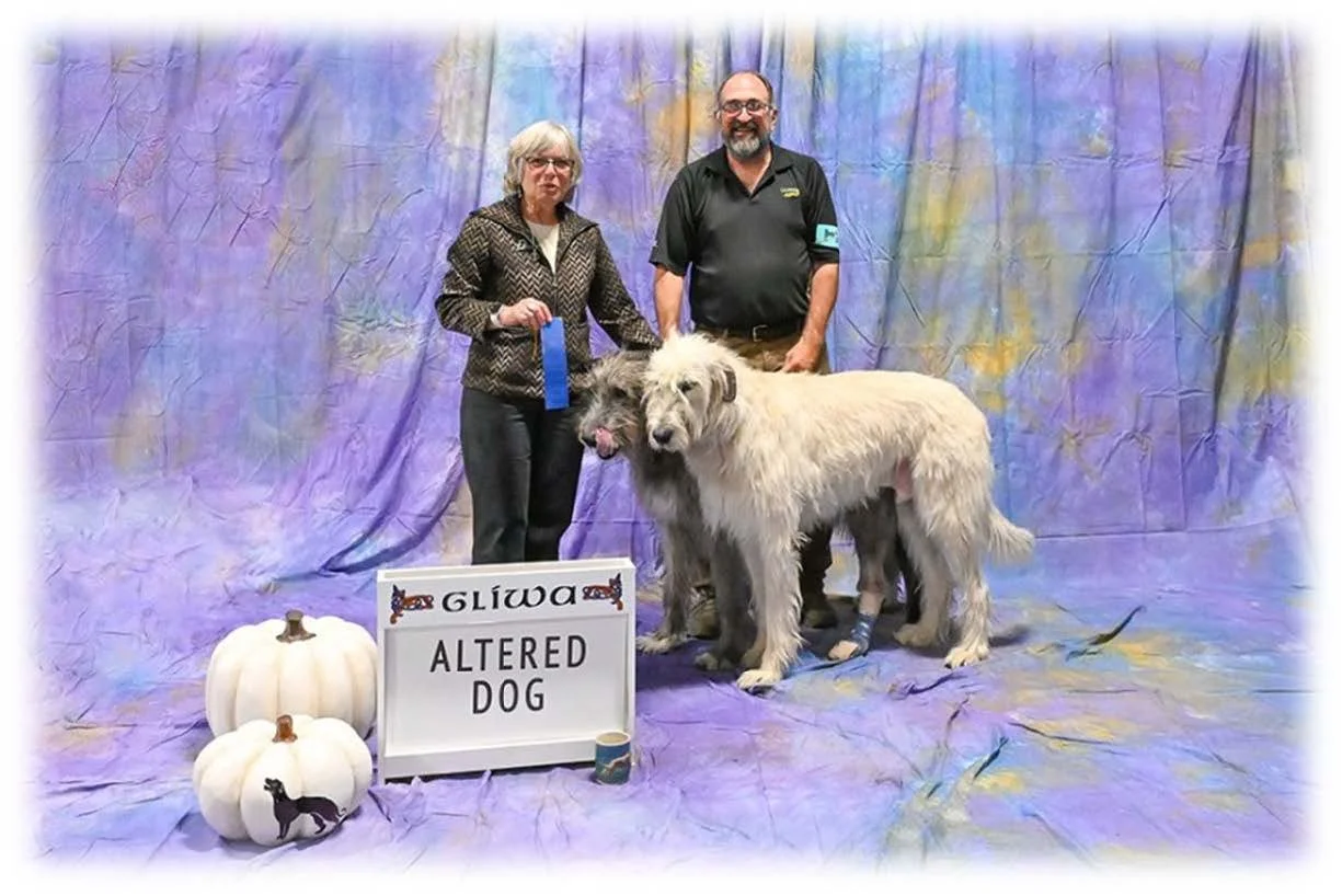 Altered Dog