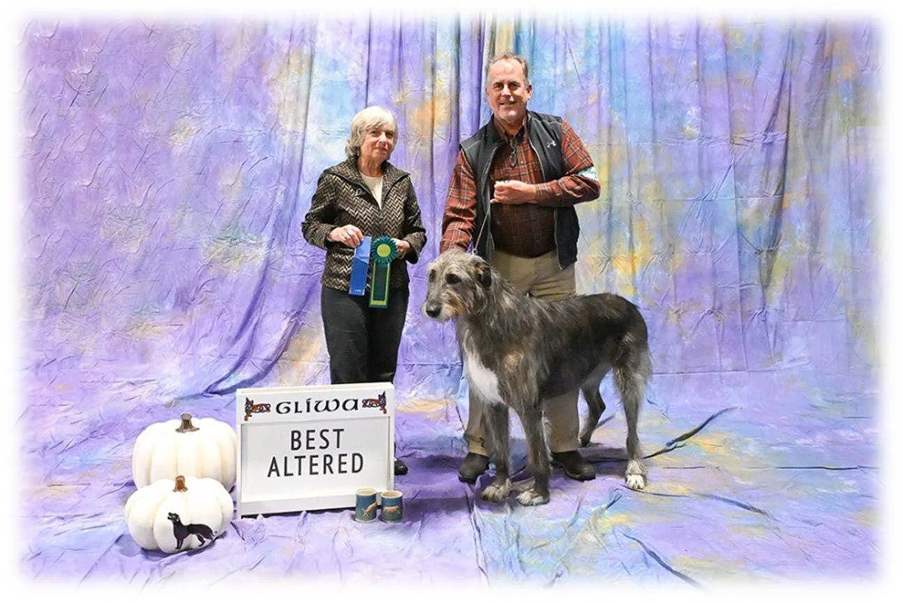 Altered Bitch & Best Altered