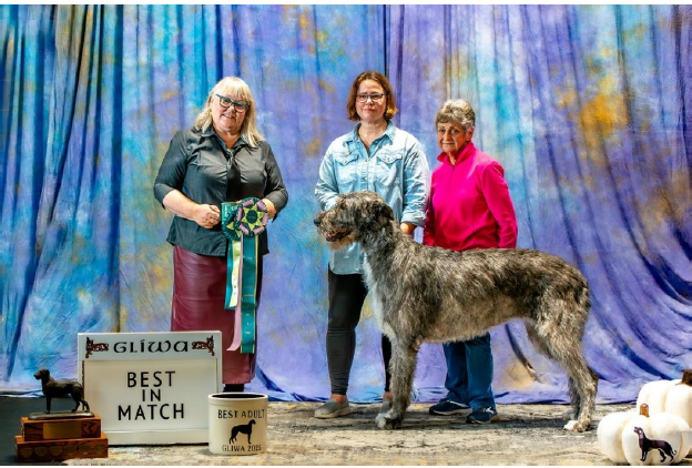 Best in Match and Best Adult