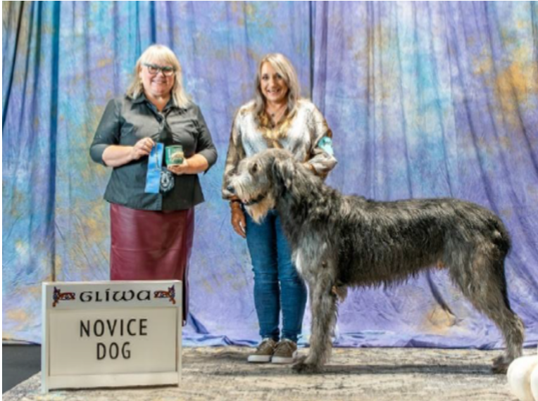 Novice Dog (photo 1)