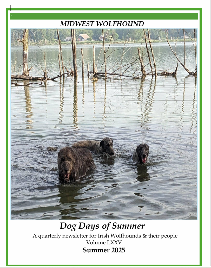 Midwest Wolfhound Summer 2025