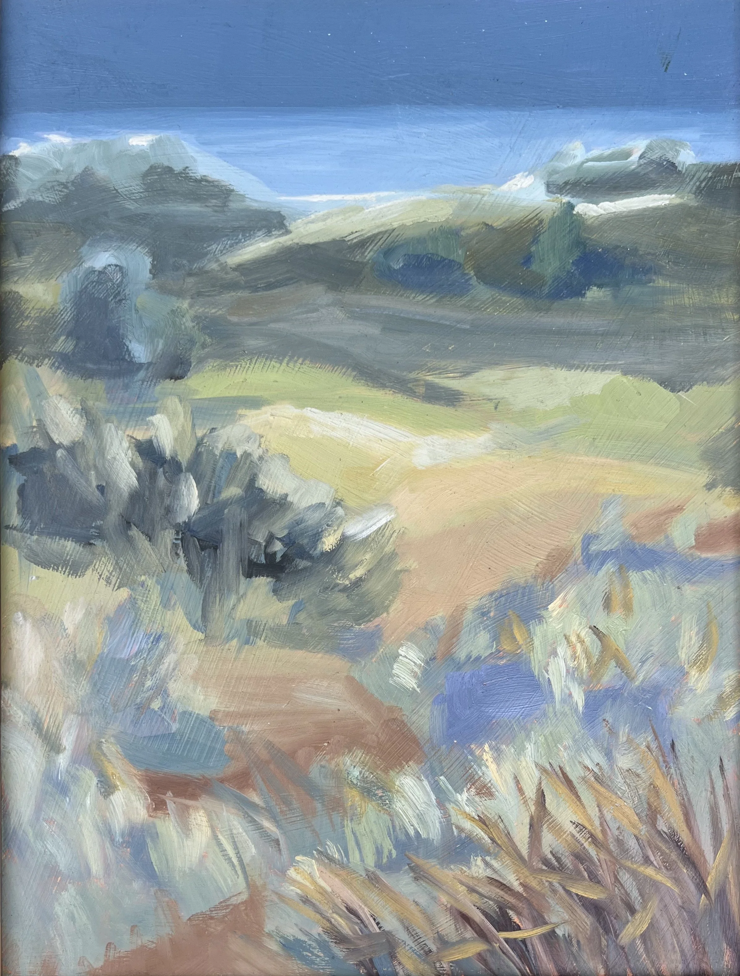 early morning in the dunes.jpeg