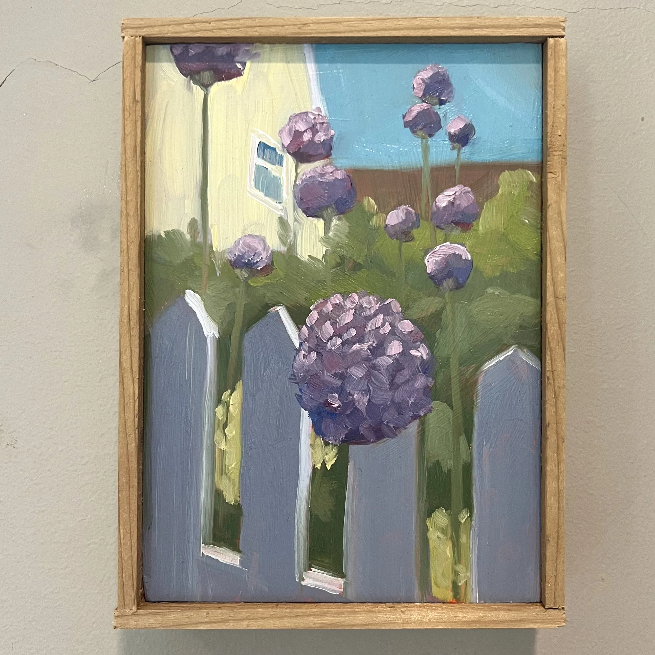 Allium Bloom.jpeg