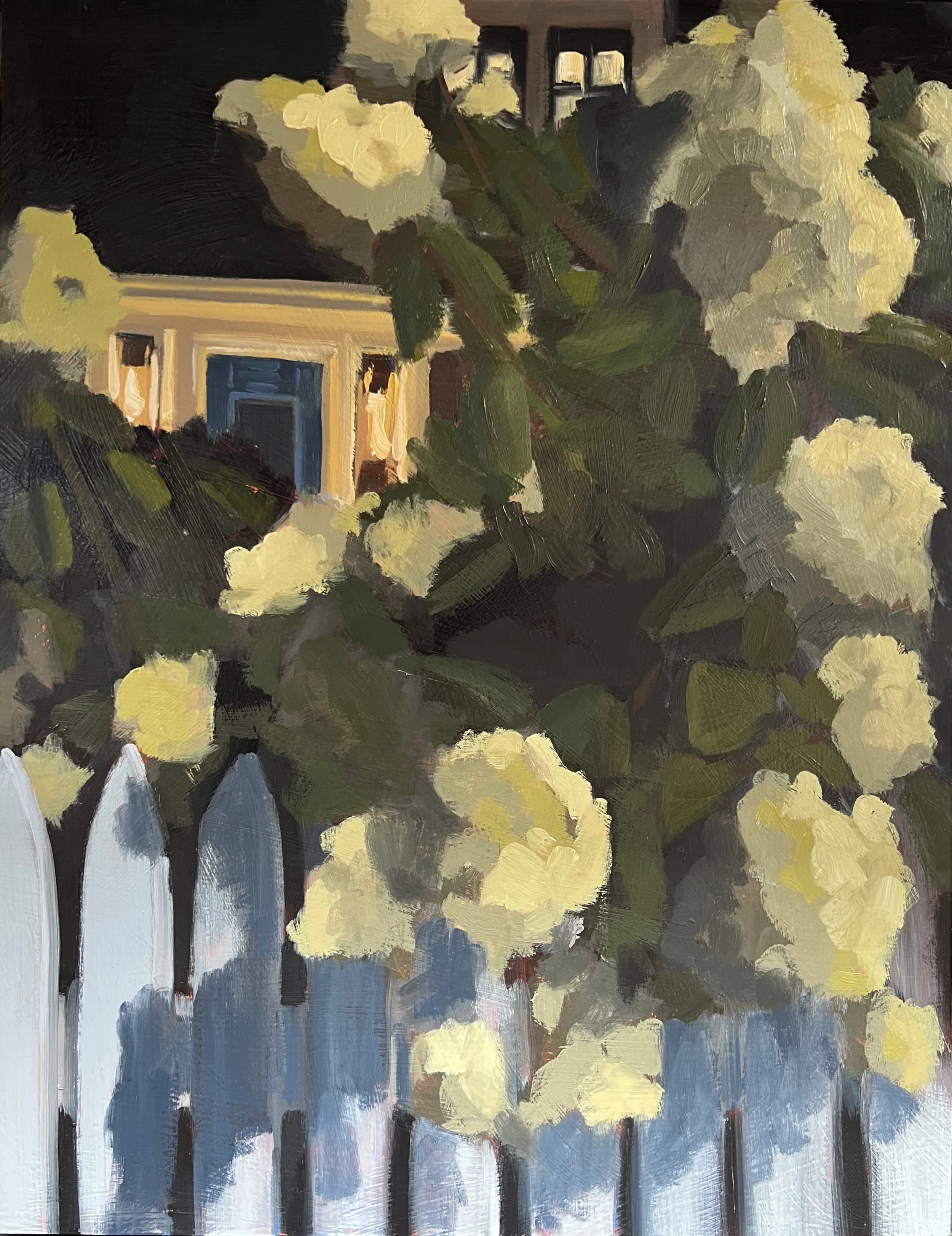 Nighttime Hydrangeas.jpeg