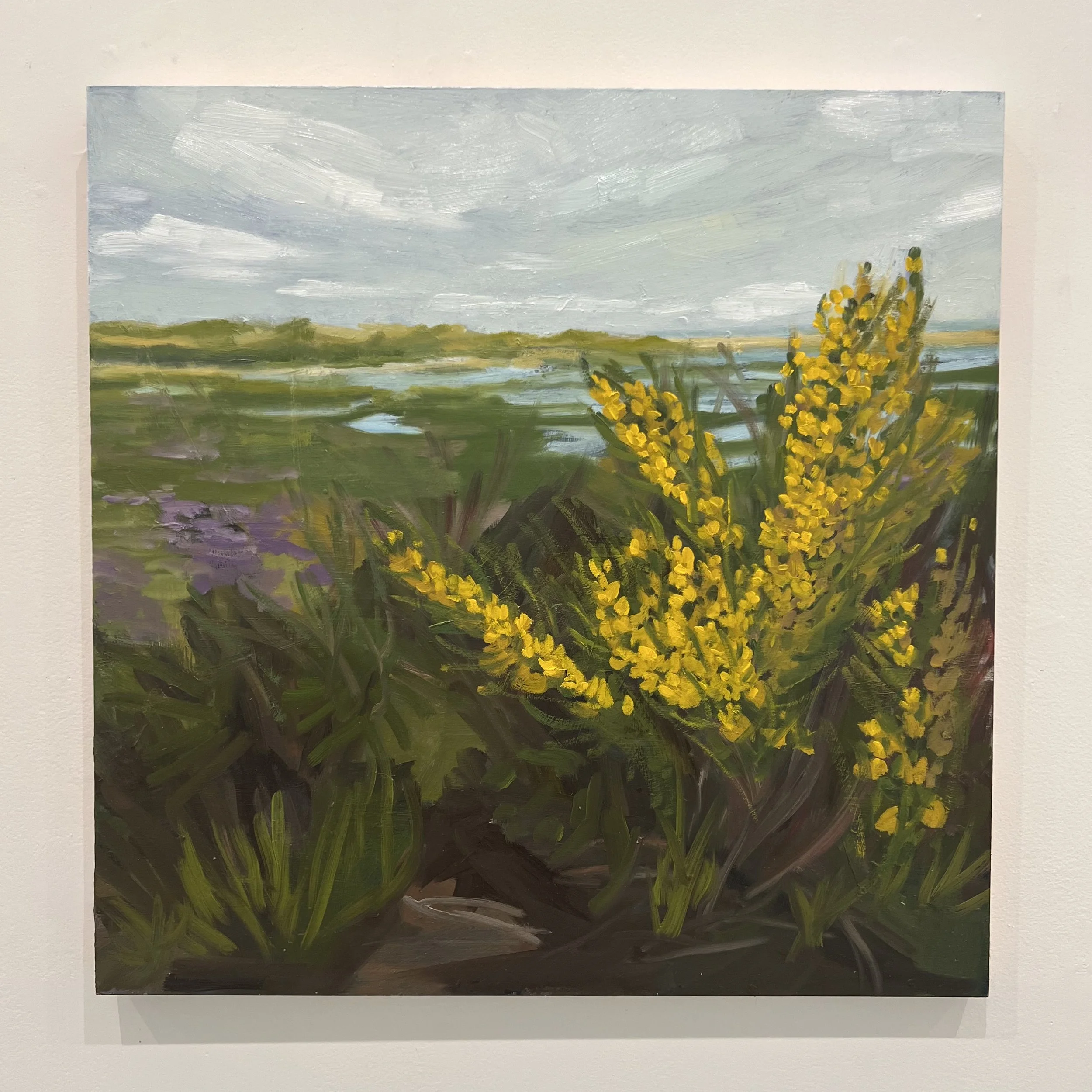 Scotch Broom & the Harbor.jpeg