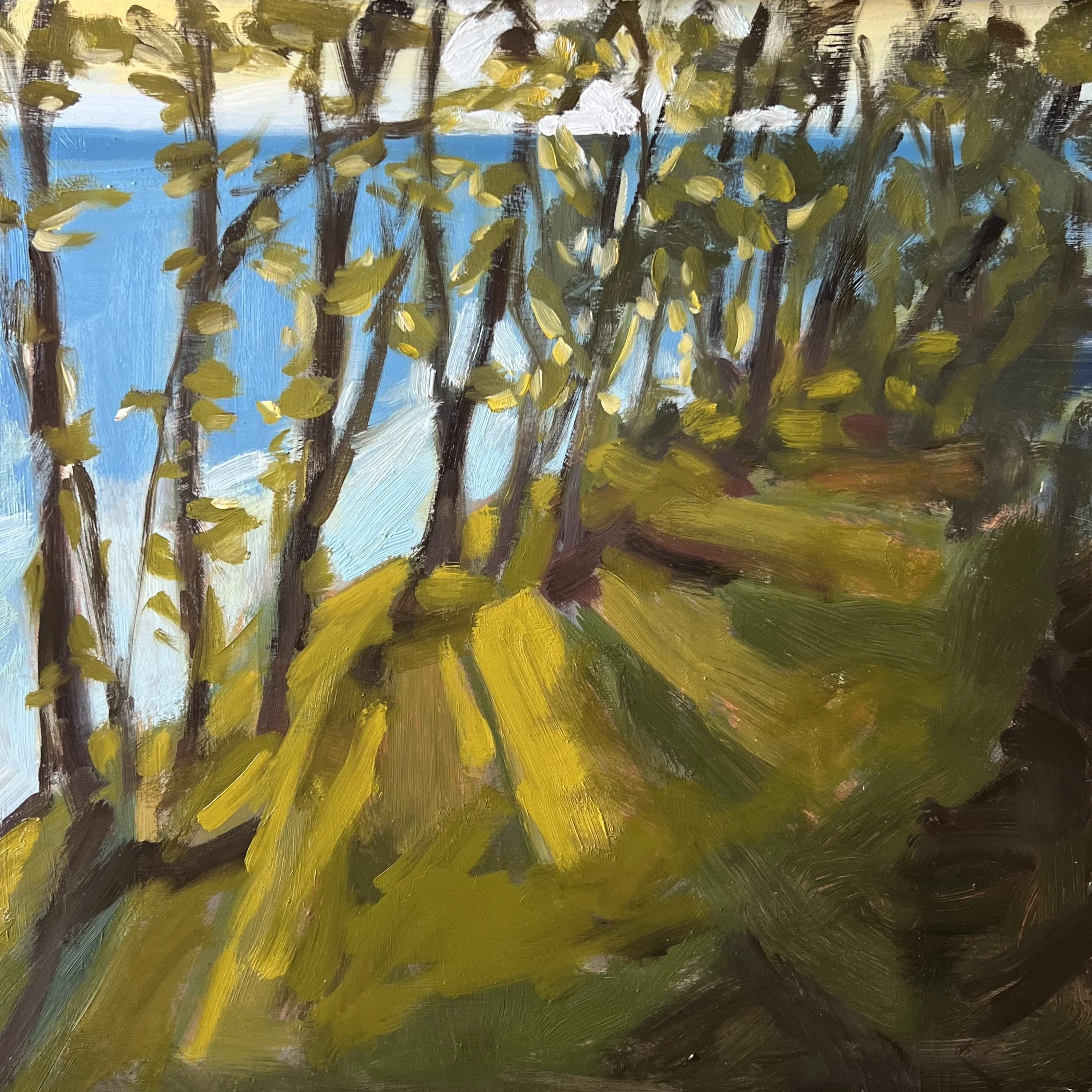 Through the Trees.jpeg