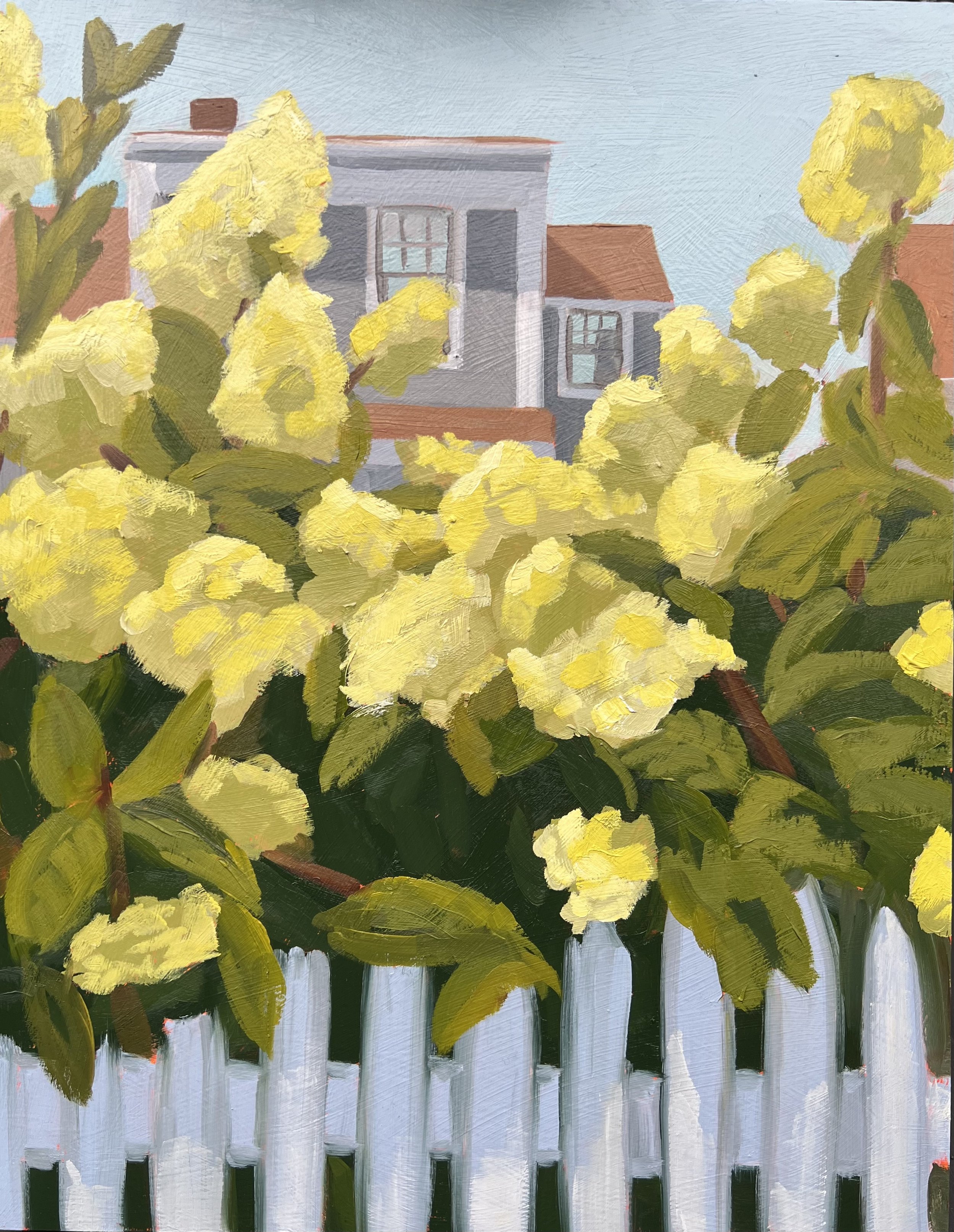 Daytime Hydrangeas.jpeg