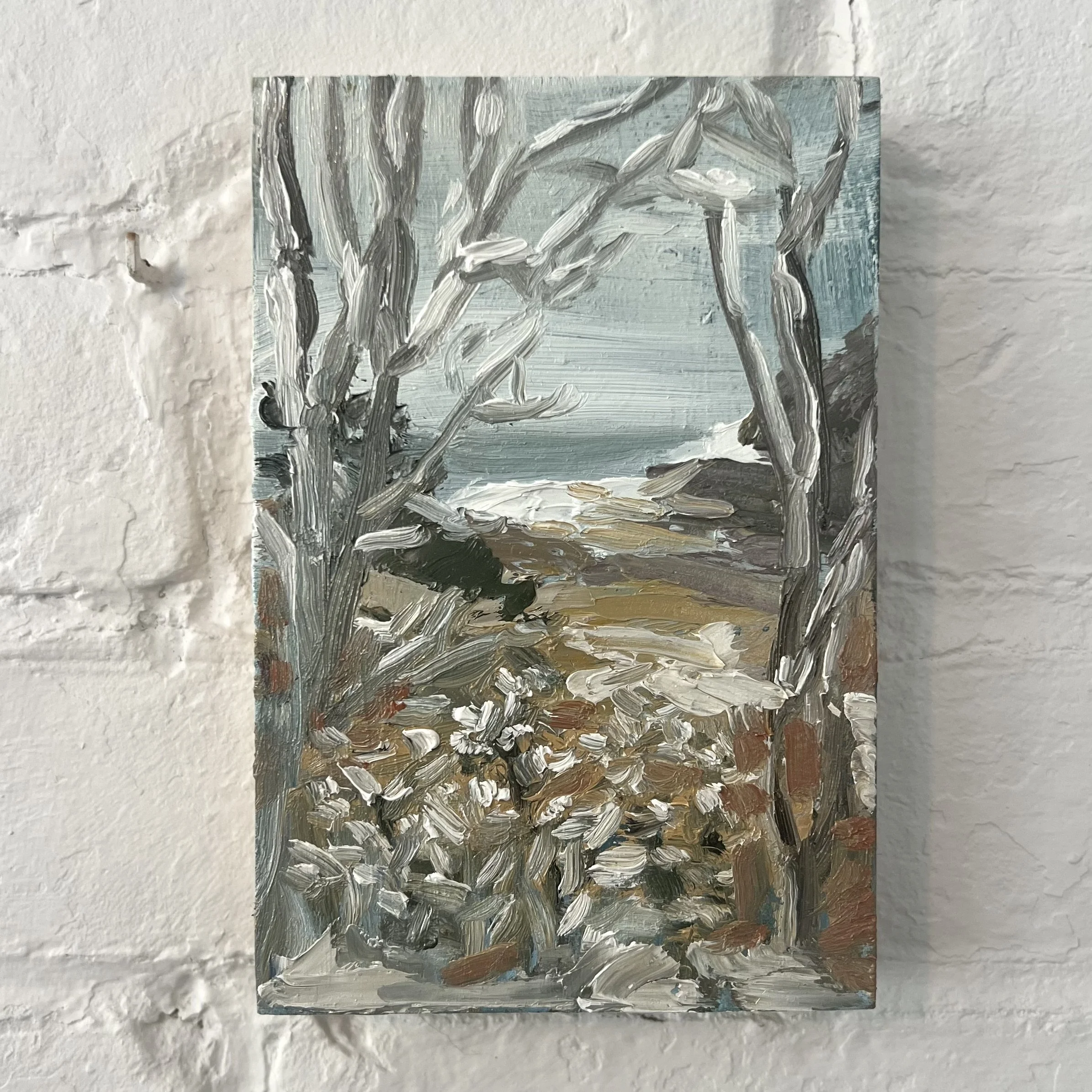 Through the Trees in Snow