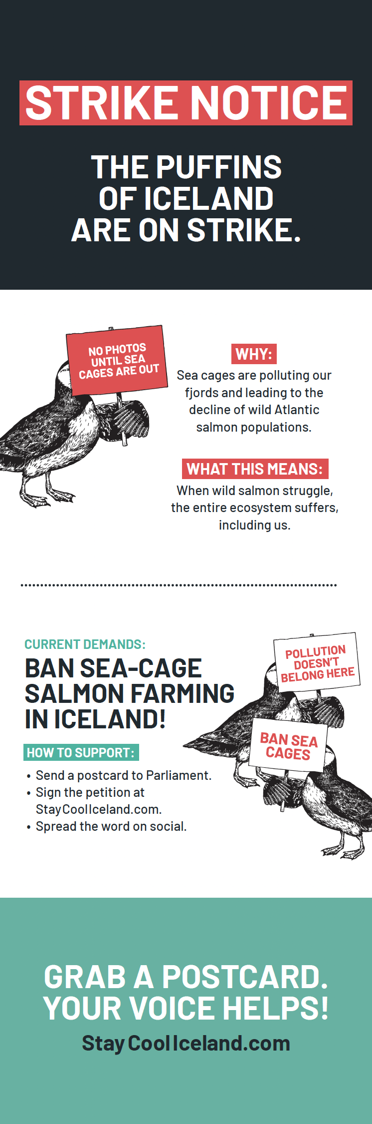 Iceland Puffins Pop-up Shop