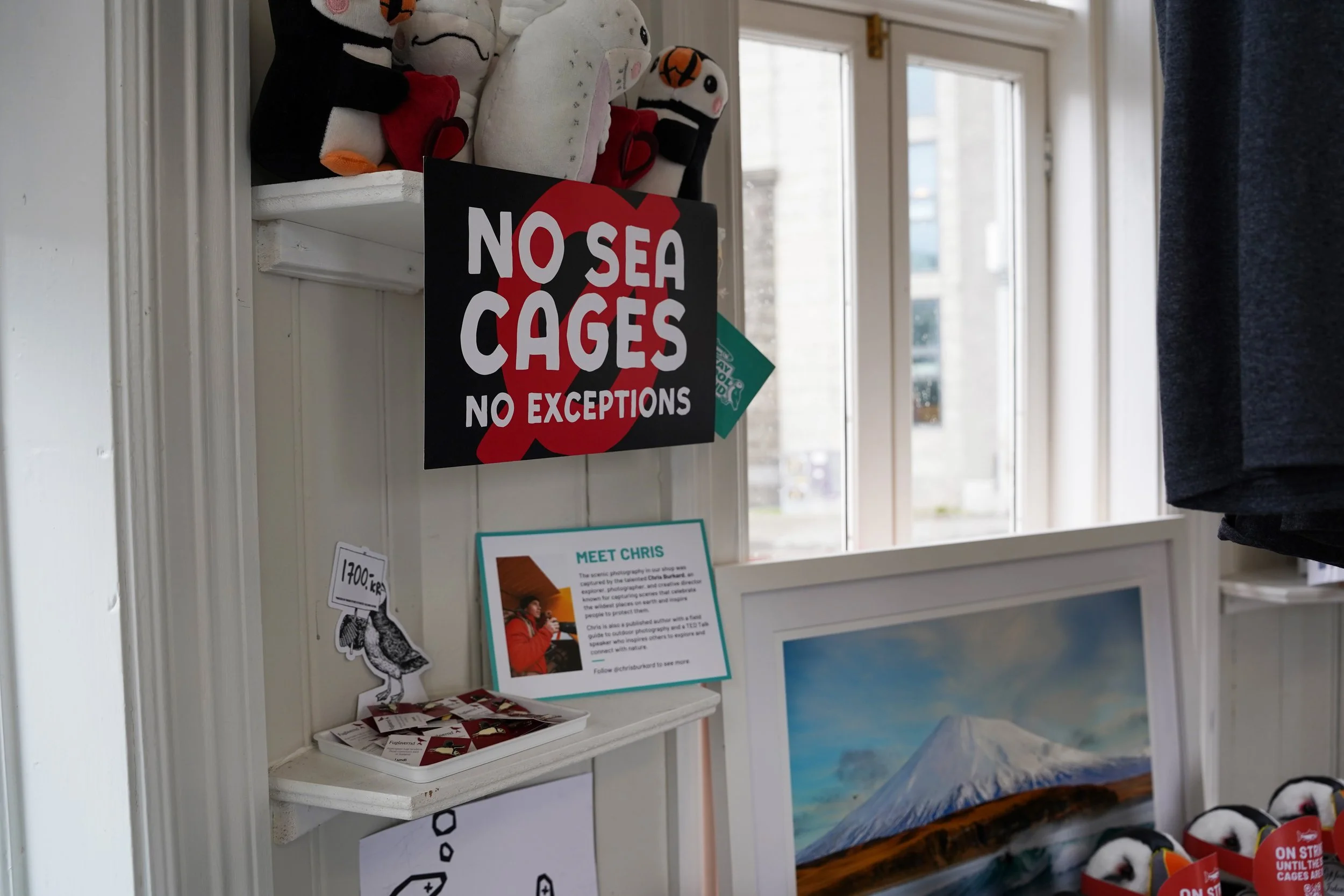 Iceland Puffins Pop-up Shop