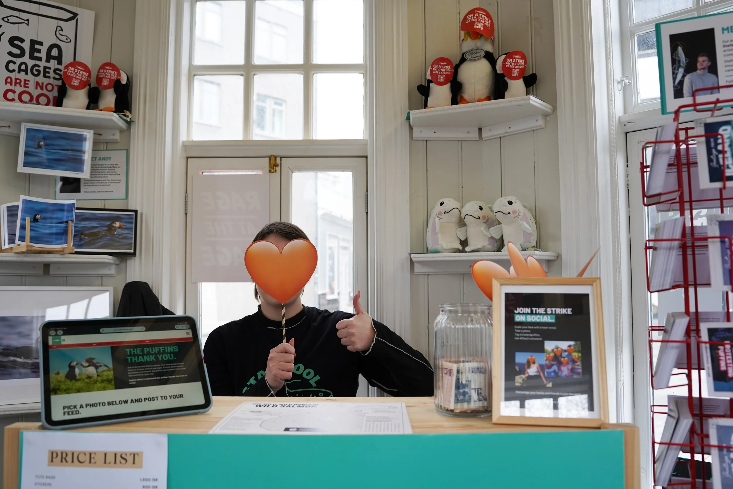 Iceland Puffins Pop-up Shop
