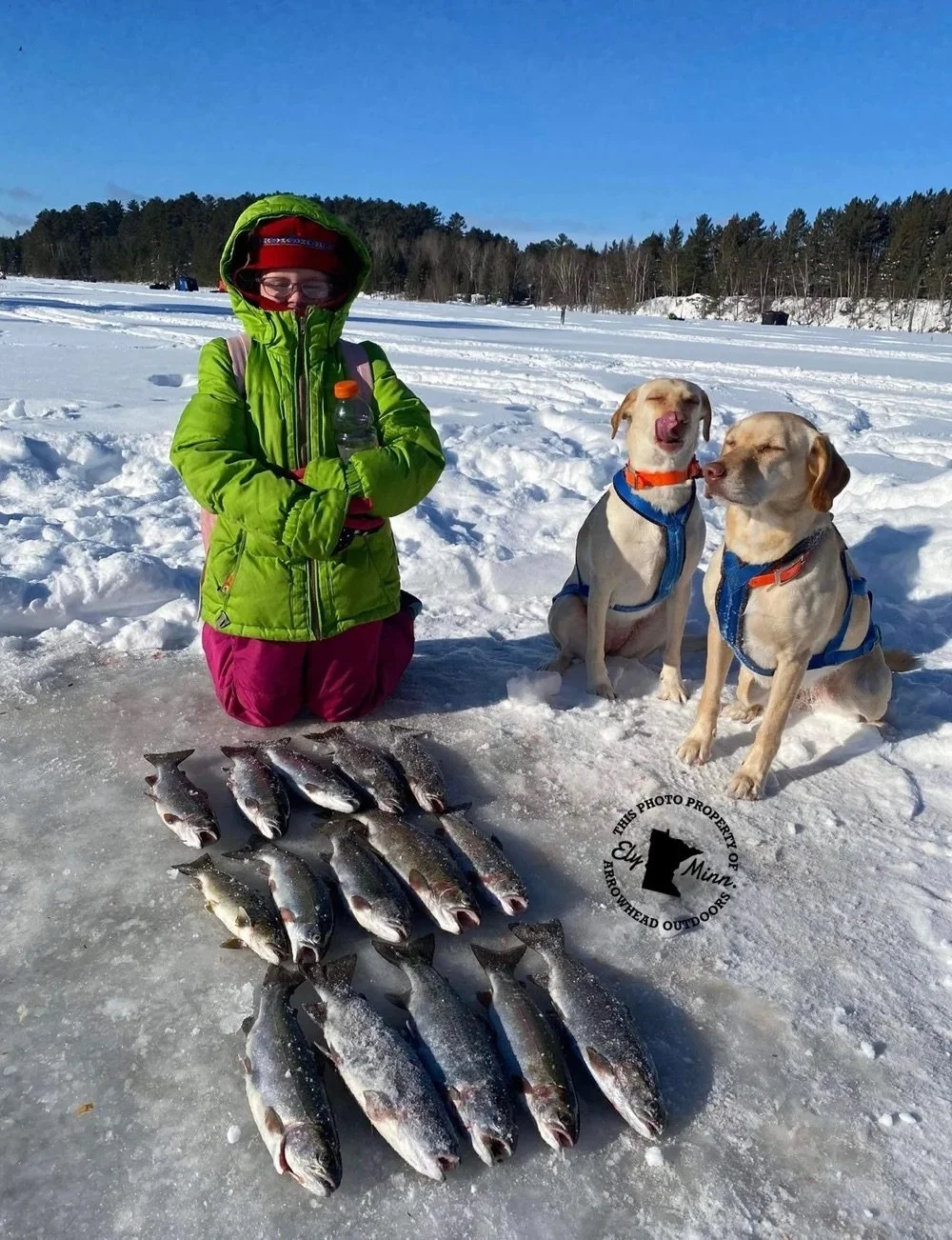 Angler holding lake trout on ice Ely MN BWCA from Arrowhead Outdoors January 18 2022 fishing report opener weekend solid ice snowy lake pine shores jig gear for excellent laker action incidental pike Northwoods winter scene