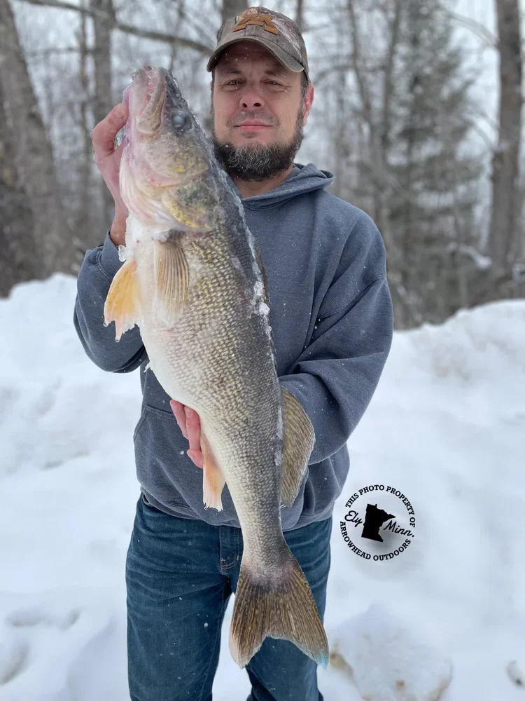 Angler holding stream trout on ice Ely MN BWCA from Arrowhead Outdoors February 8 2022 fishing report good splake shallow 10 ft rainbows 15-20 ft wax worms snowy lake pine shores Northwoods winter scene lakers slow eelpout improving