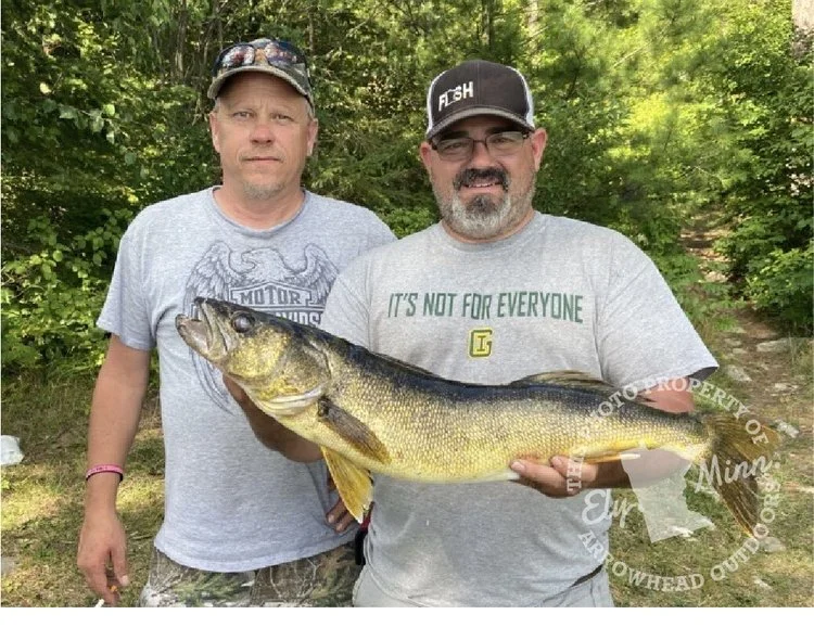 BWCA trophy walleye August 18 2020 Ely MN - Big walleye hold Boundary Waters Arrowhead Outdoors report