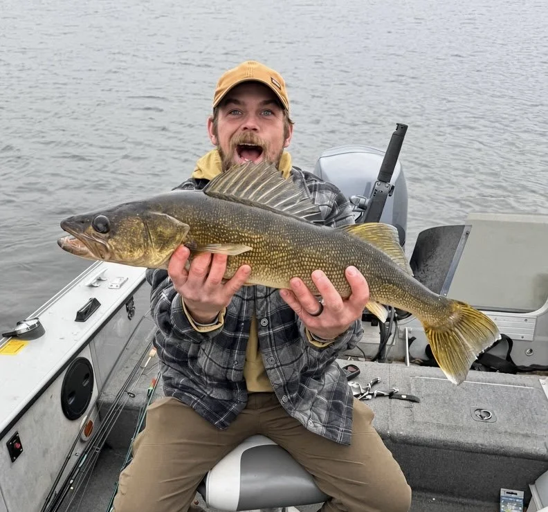 Trophy walleye caught on a big minnow on Ely area lake near BWCA. Arrowhead Outdoors fishing report.