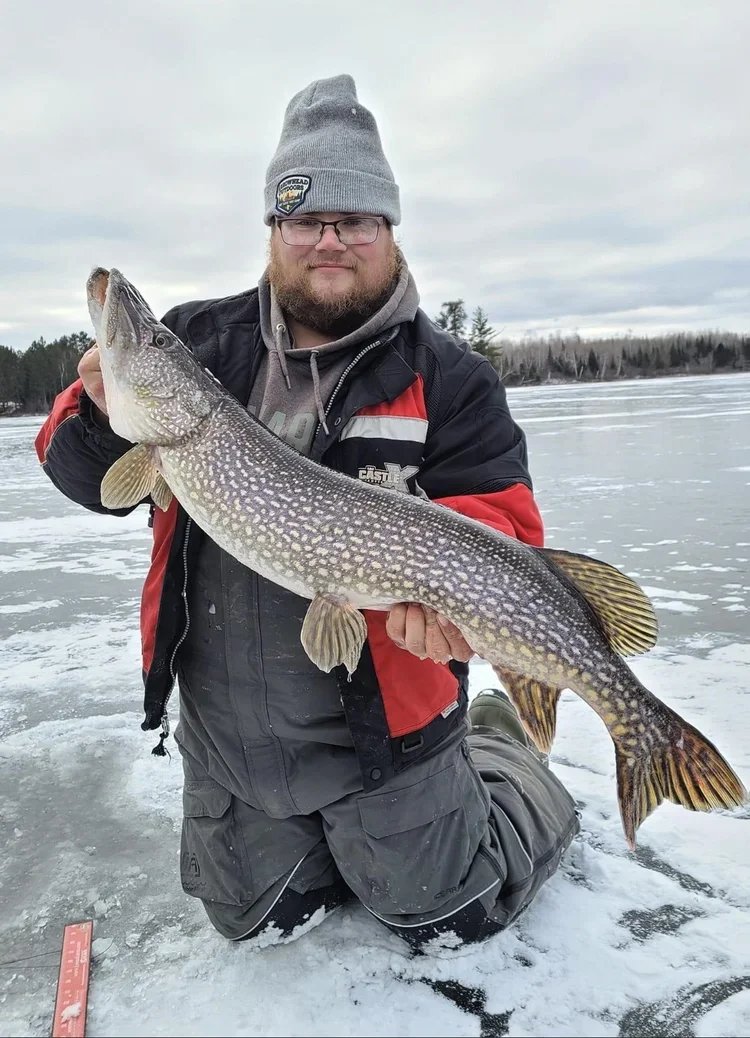 Ely MN BWCA northern pike catch in Arrowhead Outdoors fishing report December 13 2022 – angler kneeling on ice holding big toothy pike snowy BWCA lake