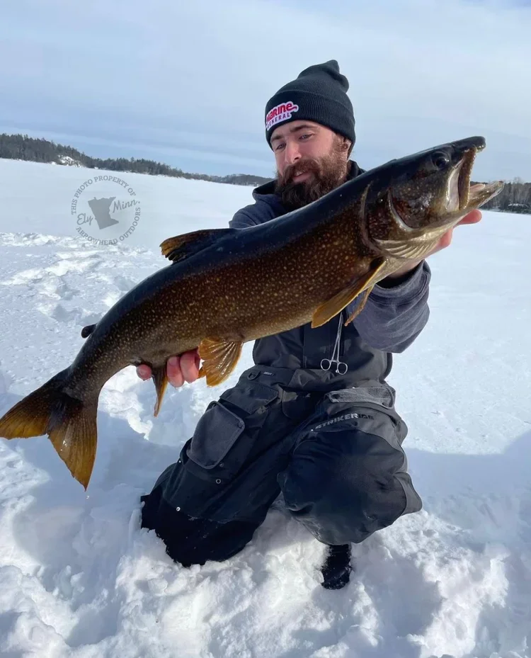 Angler holding stream trout on ice Ely MN BWCA from Arrowhead Outdoors February 15 2022 fishing report strong splake brook shallow 10 ft rainbows vary wax worms salmon eggs snowy lake pine shores Northwoods scene lakers slow eelpout active spawn