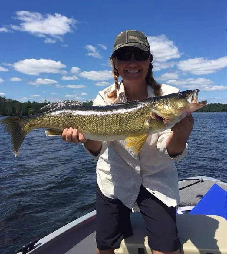 Trophy walleye caught by woman Ely MN - Big walleye boat hold Arrowhead Outdoors report