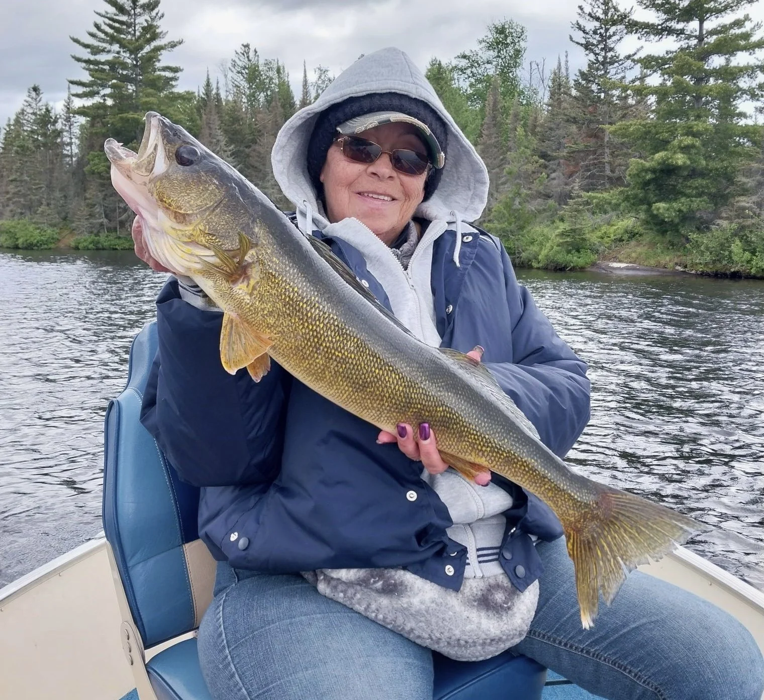 Nice walleye caught on Basswood Lake near Ely MN. Fall fishing from Arrowhead Outdoors.