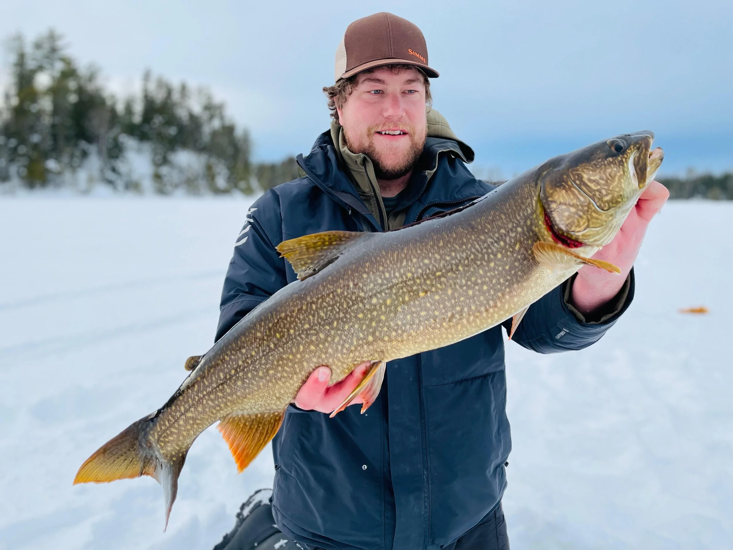 Ely MN BWCA lake trout catch in Arrowhead Outdoors fishing report February 7 2023 – angler holding massive spotted laker on snowy ice BWCA lake