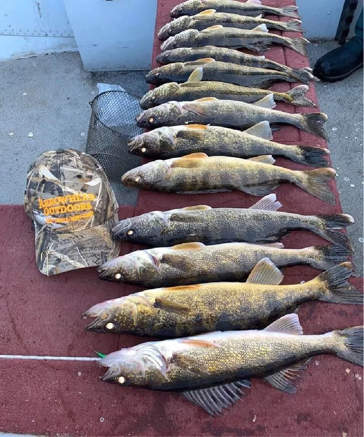 Walleye stringer catch Ely MN - Trophy walleye haul Arrowhead Outdoors report