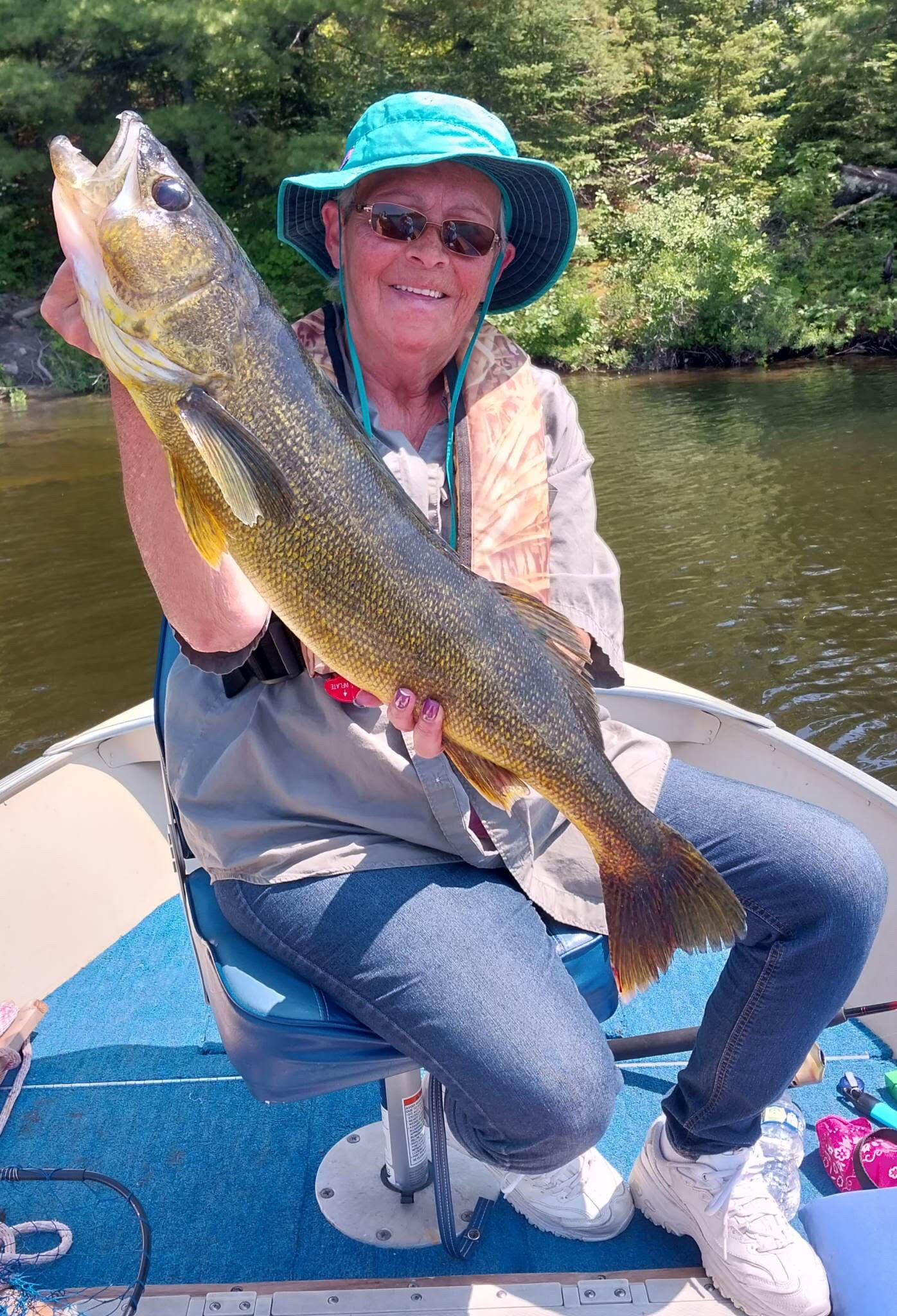 Ely MN BWCA walleye catch in Arrowhead Outdoors fishing report July 11 2023 – angler holding massive golden walleye on boat sunny lake