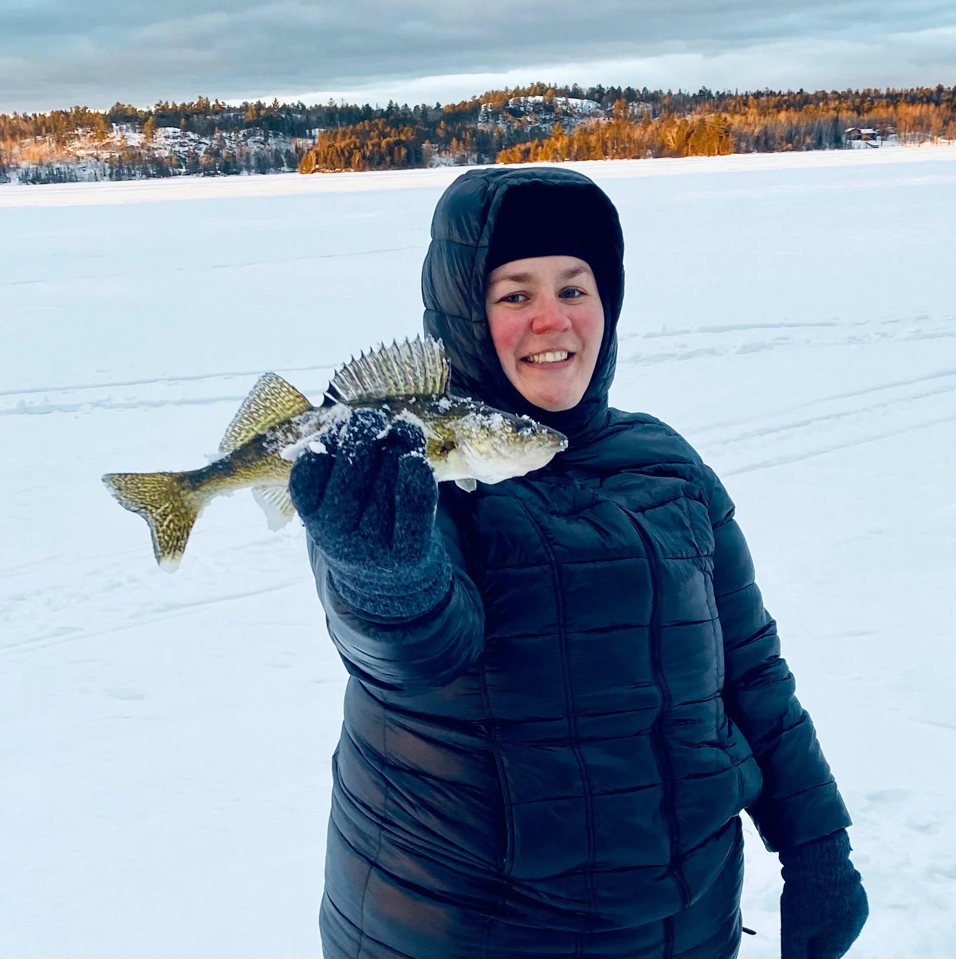 Ely MN BWCA walleye catch in Arrowhead Outdoors fishing report February 14 2023 – angler holding snow-dusted golden walleye on icy BWCA lake