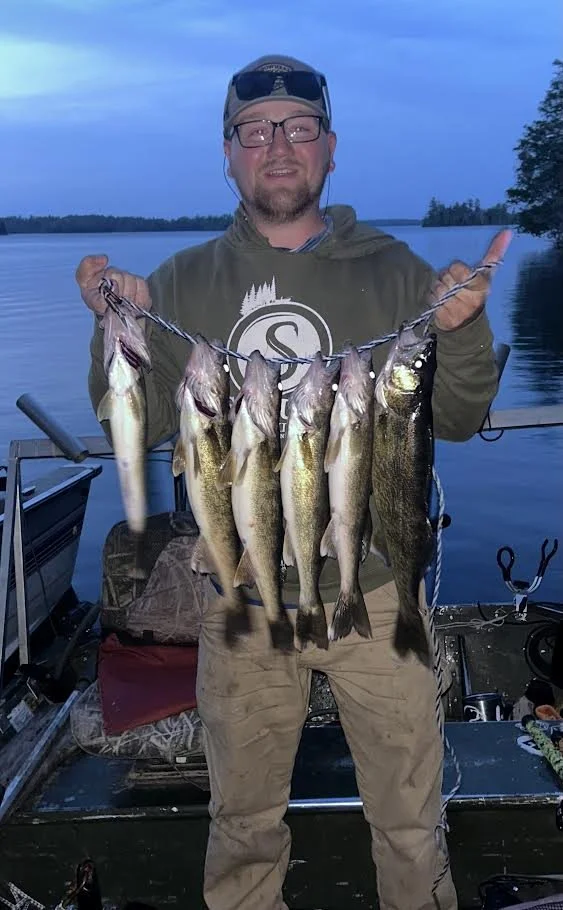 Angler holds limit of walleyes on stringer at dusk May 13, 2025 MN Fishing Opener in Ely MN BWCA. Opener report from Arrowhead Outdoors.