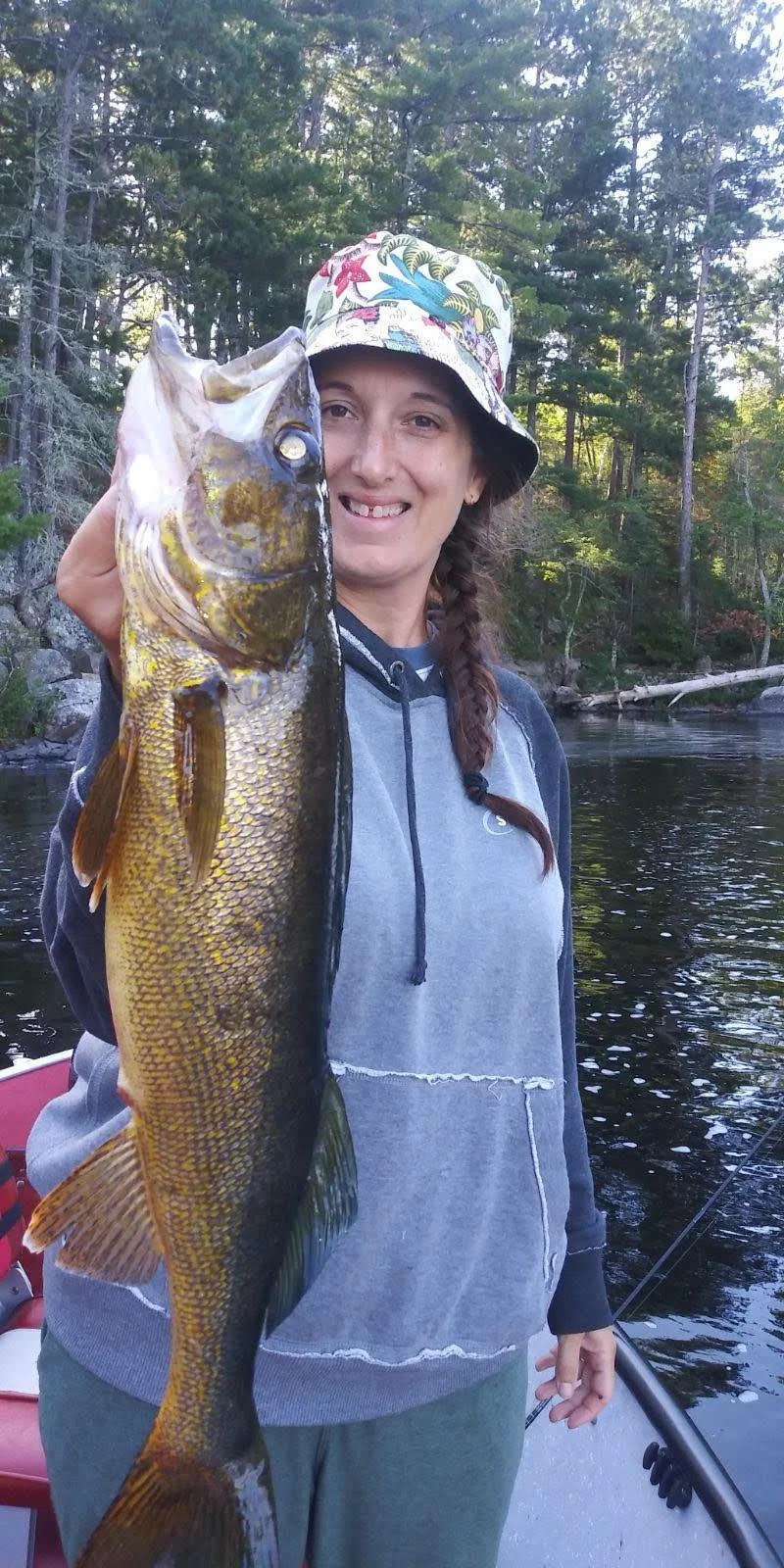 Angler holds trophy fall walleye caught on pike sucker in boat Ely MN, BWCA area, September 3 2024. Arrowhead Outdoors Ely MN fishing report with premium tackle, hunting gear & camping supplies available.