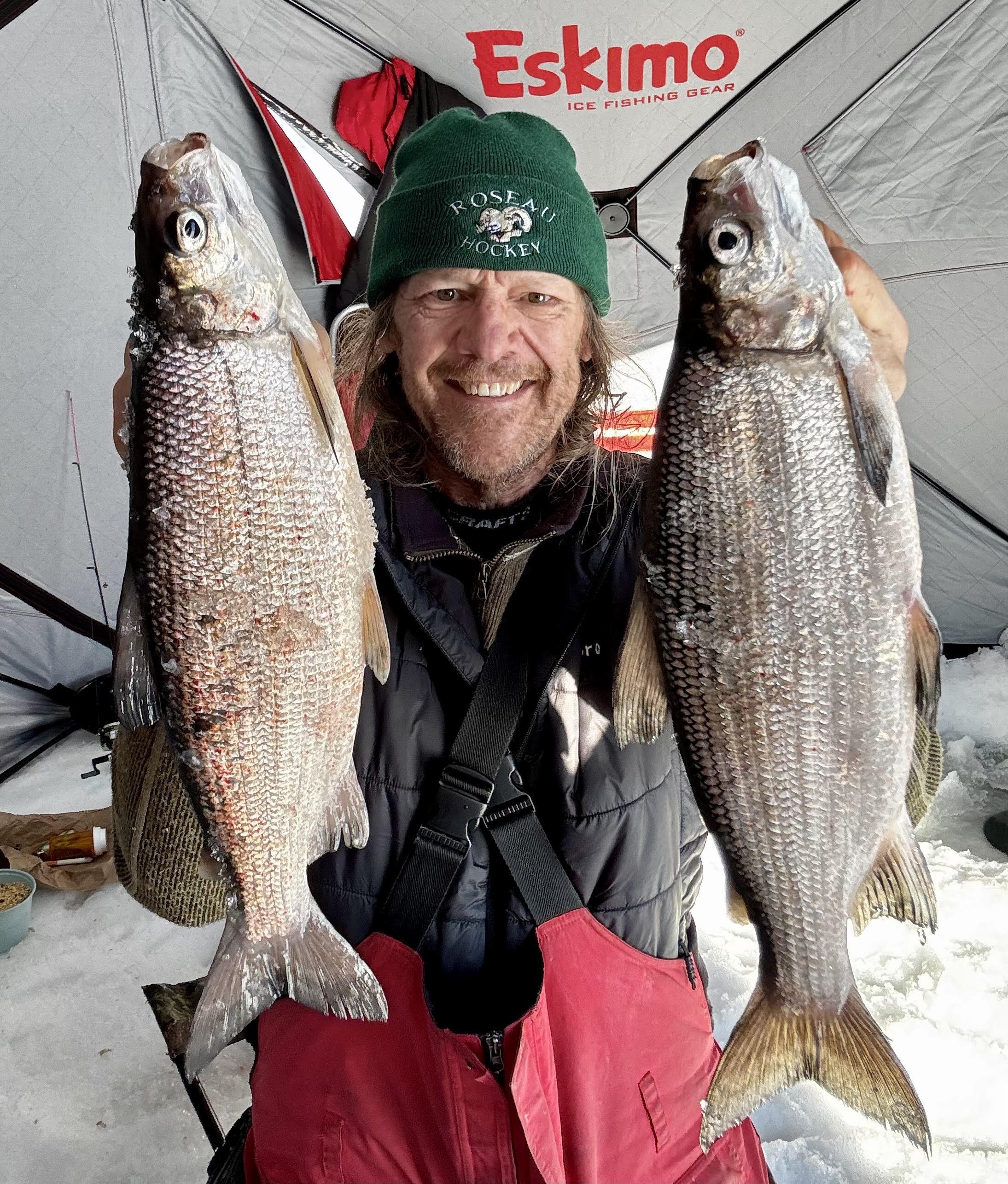 Angler holds two big tulibee (cisco) inside ice shack March 10, 2026 in Ely MN BWCA. Late winter report from Arrowhead Outdoors.