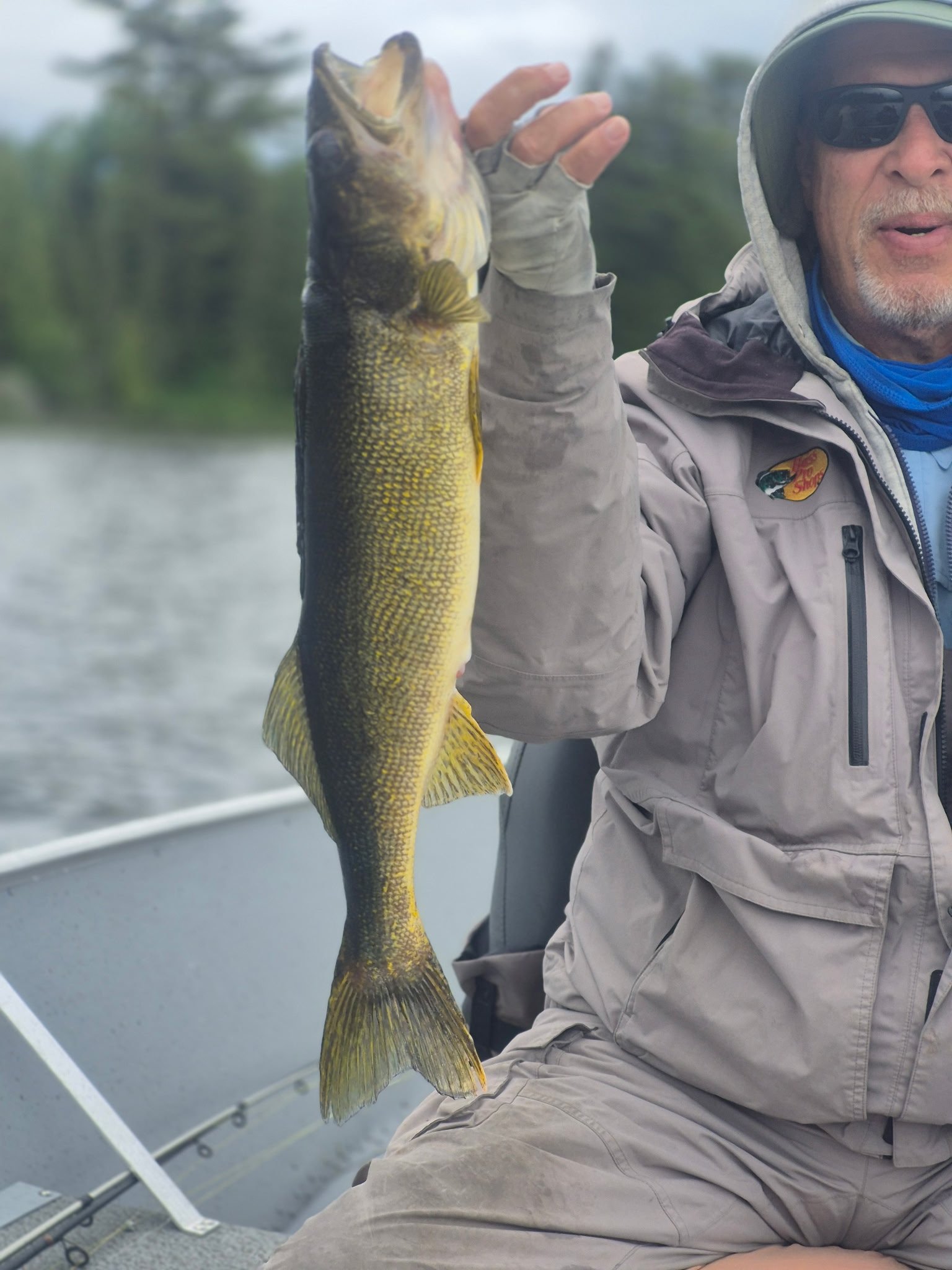 Steve from Arizona with walleye caught on Basswood Lake using a jumbo leech near Ely MN. Arrowhead Outdoors fishing report.