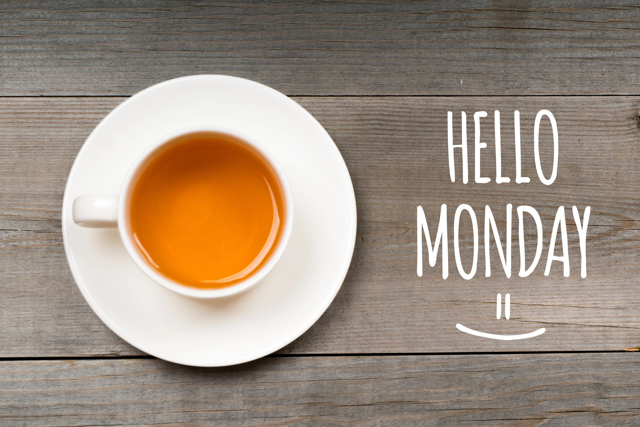 MONDAY RECAP! Virtual Open House Form, Online Marketing Requests, and MORE!