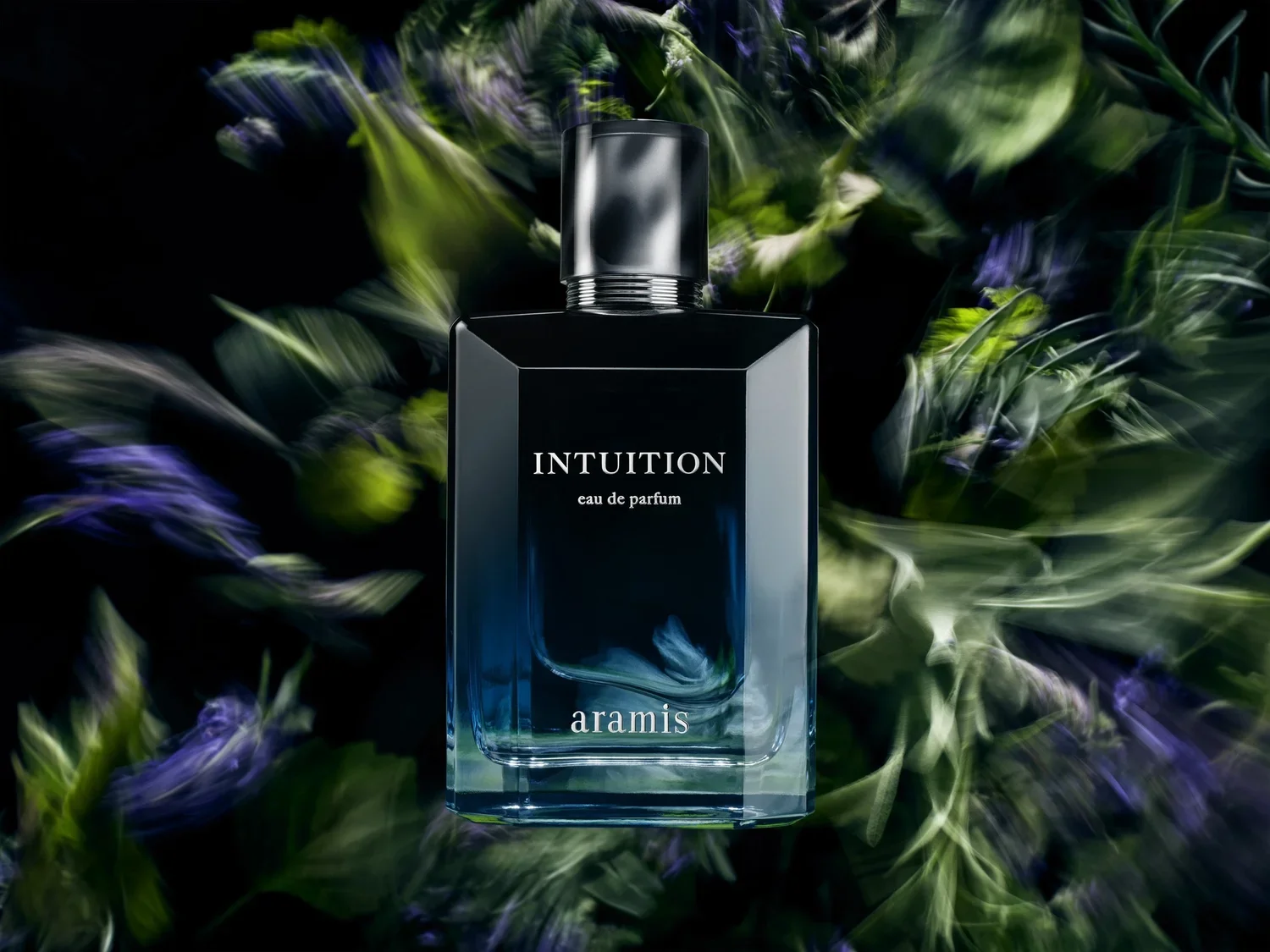 Aramis Intuition