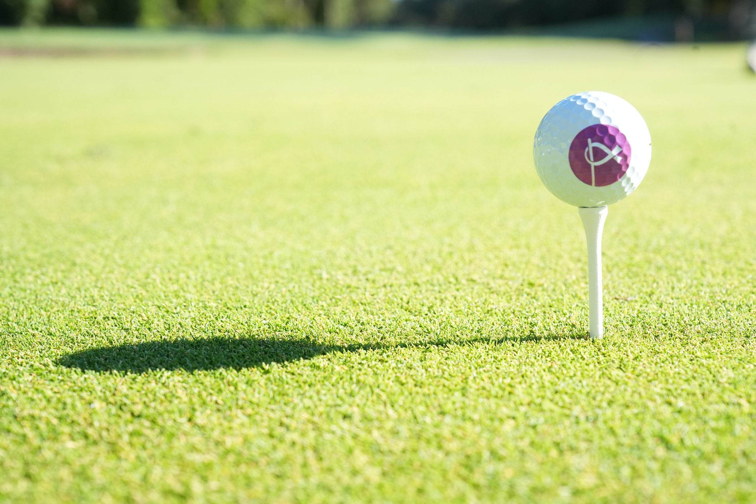 6th Annual Swing for a Cure Celebrity Golf Tournament