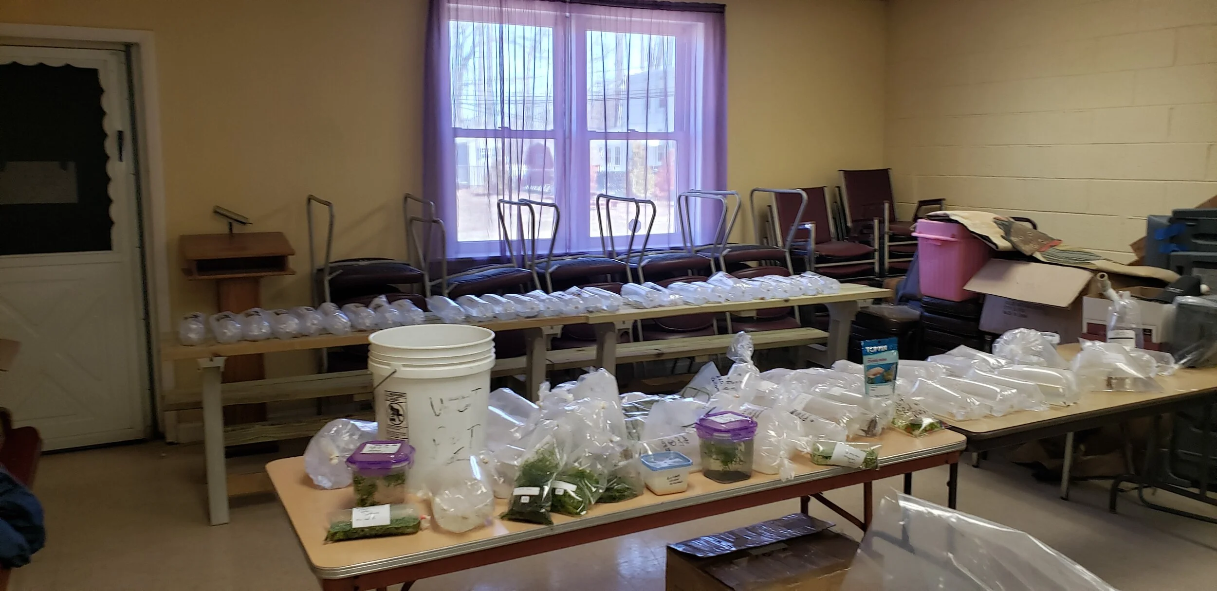 DCAS Auction 3/7/2020