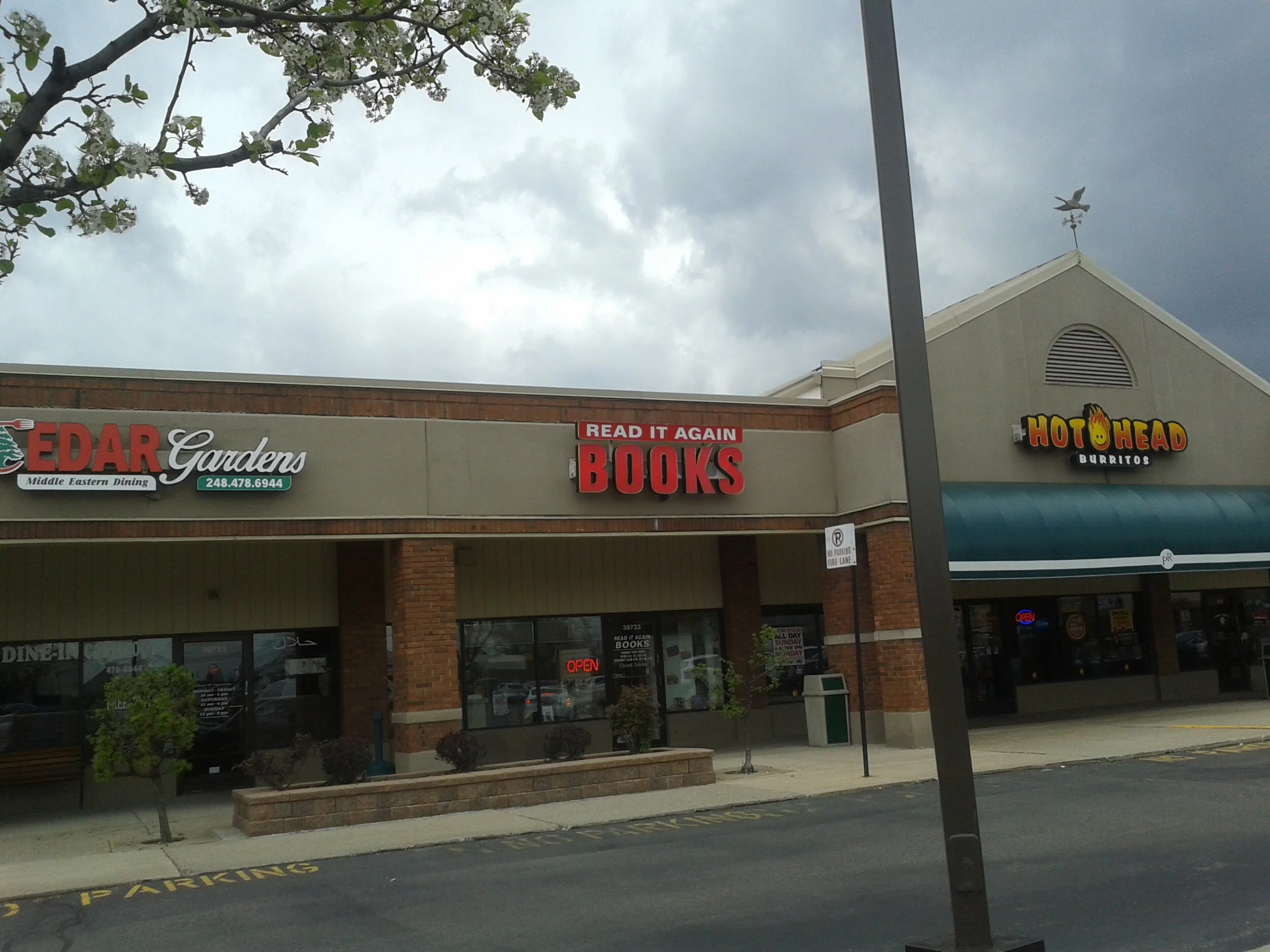 First Books Store Books Shelfed
