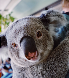 Снимок экрана 2022-02-21 в 15.09.23.png