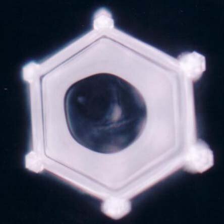 Revitalized Biogenic Activator Classic photographed by Dr. Masaru Emoto
