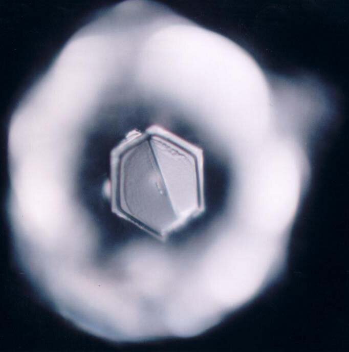 REVITALIZED WATER CRISTAL2.jpg