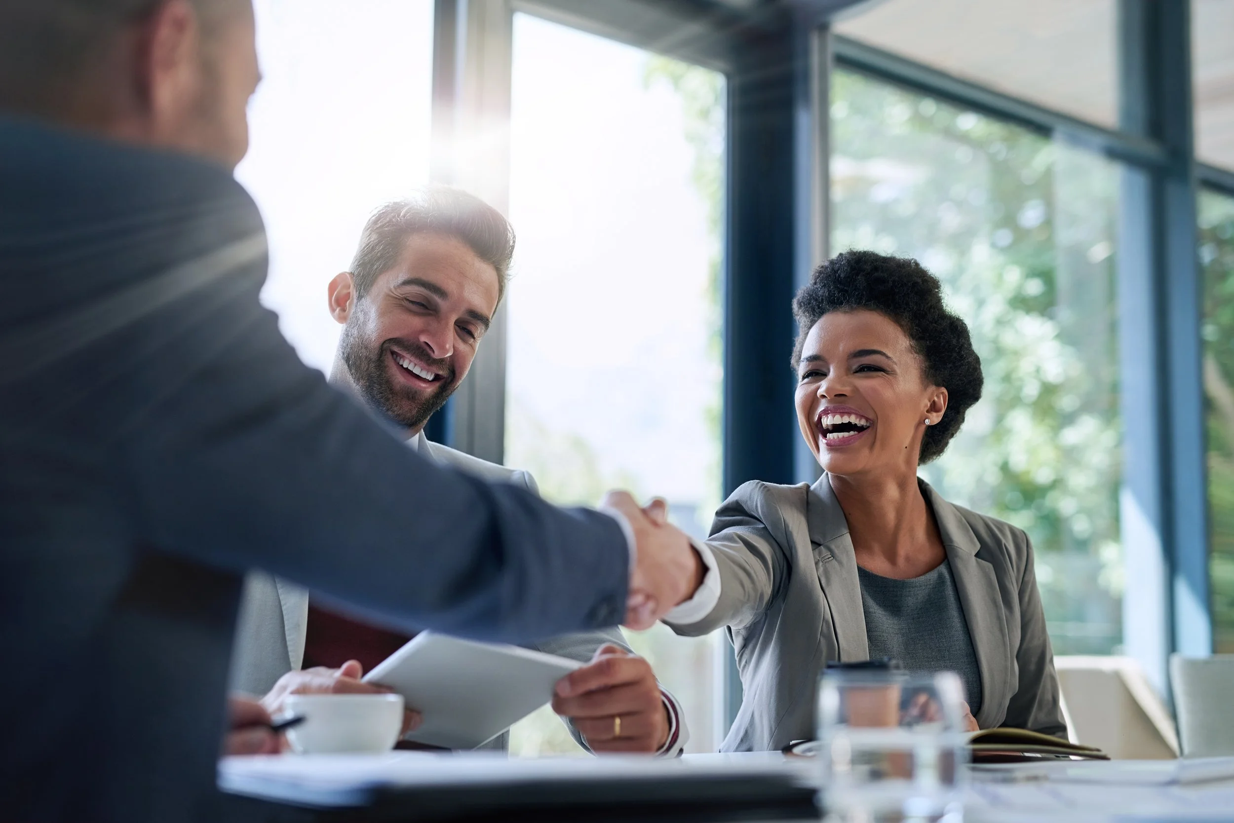 Finance Management for Business Professionals