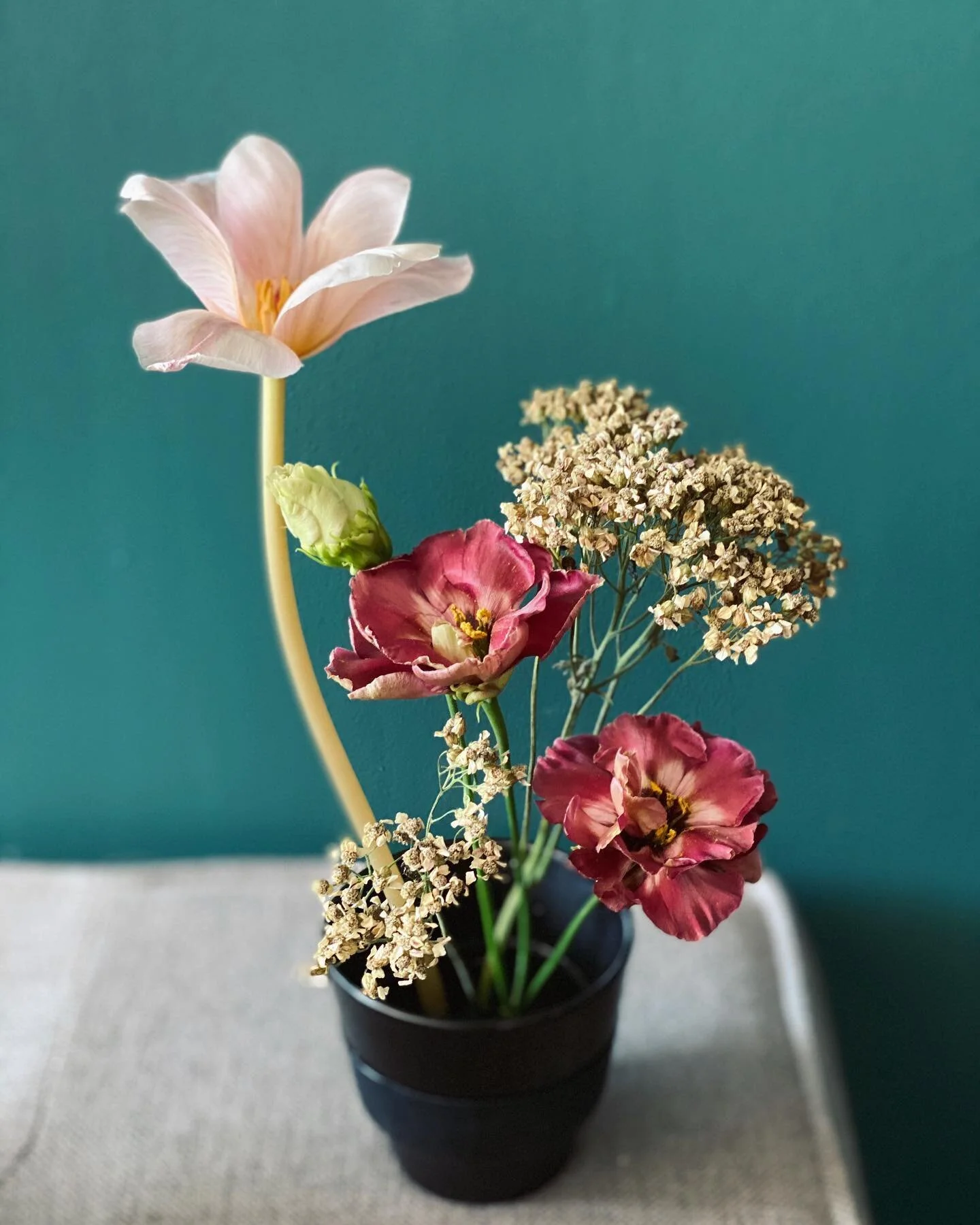 Nespresso cup of flowers 

🌿No fancy vases needed! 
Last year I did a virtual Flower Hour on finding vessels around your home to design flowers in. I loved seeing what everyone used! 

💥I challenge you! 
Next time you grab flowers from your grocery store, bodega, farmers market, wherever you  find your flowers.. try putting them in something unique that you already have at home. This could be a favorite coffee mug, empty pasta can from last nights dinner, or even a tea kettle! 

✨Tag me and I&rsquo;ll repost on my story! I&rsquo;d LOVE to see what you create! 

🌸I promise Flower Hour will be back this year and hopefully a few classes in person soon! 

👉🏼 Let me know what you would like to learn in a virtual flower class! 
💚Comment or DM