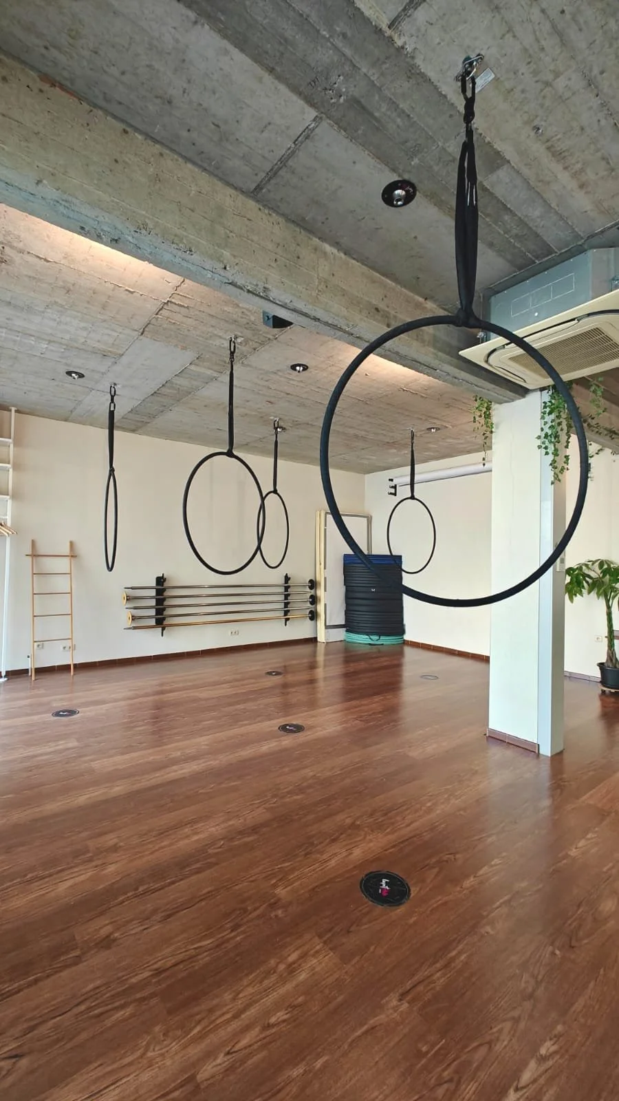 WhatsApp Image 2026-04-28 at 12.31.38.jpeg