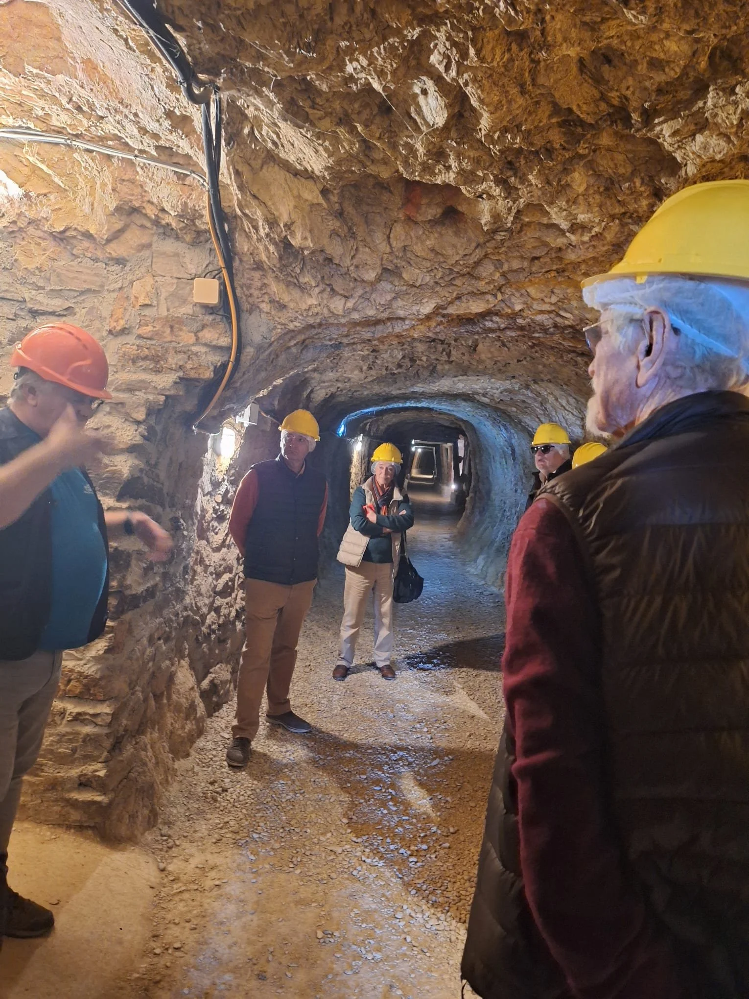 WhatsApp Image 2025-12-20 at 10.44.44.jpeg