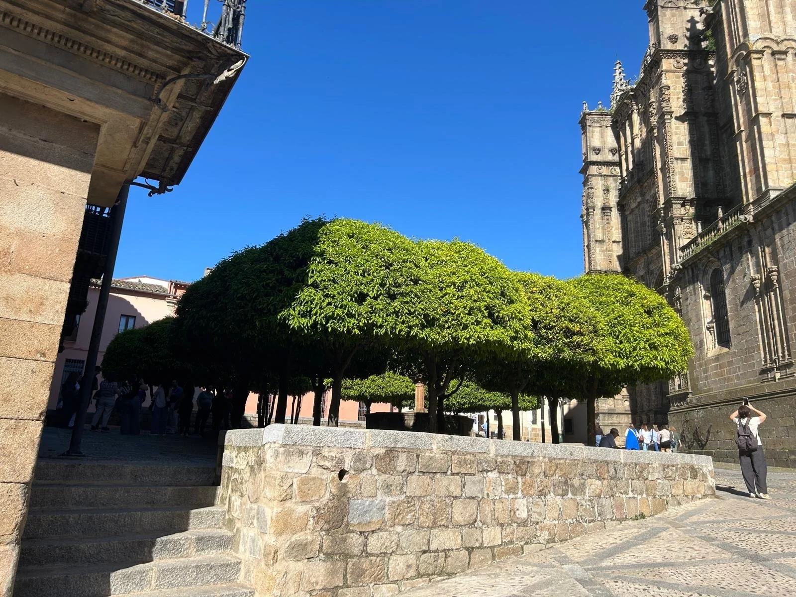 WhatsApp Image 2025-12-20 at 09.48.36.jpeg